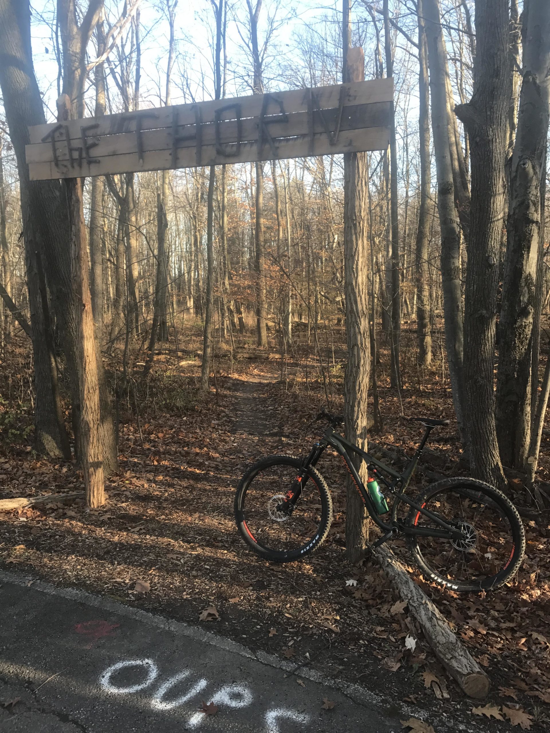 A mountain bike leaning against a tree next to a wooded trail entrance marked by a wooden sign that reads "The Thorn." The ground is covered with fallen leaves, and a portion of the paved path is visible with the word "OUPS" painted in white. Bright sunlight filters through the trees in the background. Findley State Park mountain bike trail.