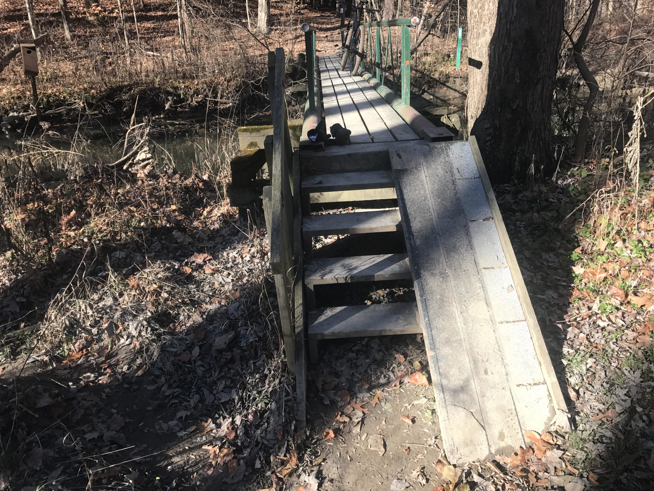 A wooden walkway with steps leading to a bridge over a small creek, surrounded by trees and fallen leaves in a natural setting. Findley State Park mountain bike trail.