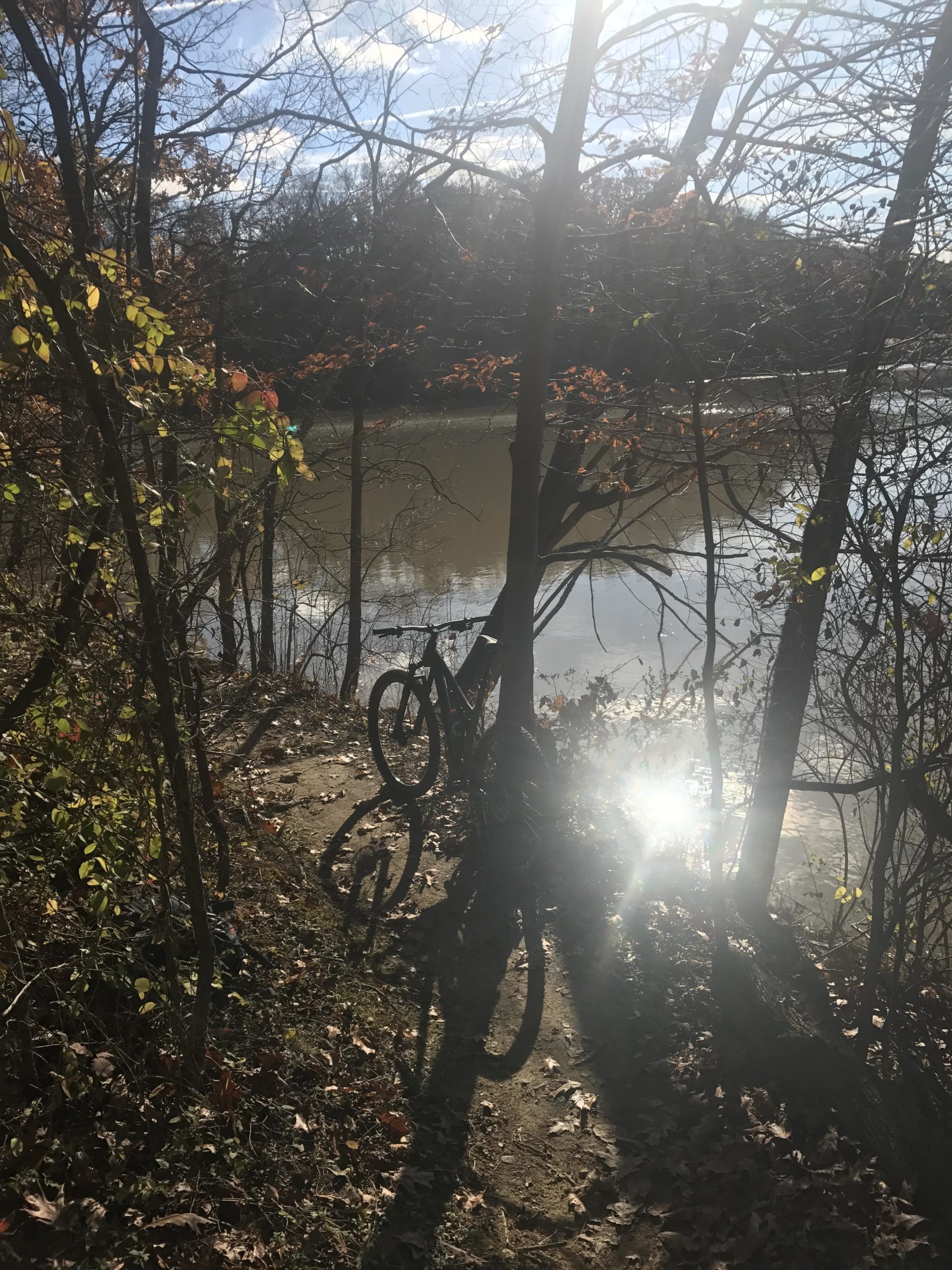 A mountain bike is leaned against a tree next to a calm river, surrounded by trees with autumn leaves. Sunlight reflects off the water, casting a warm glow on the scene. The ground is covered with fallen leaves, indicating the season. Findley State Park mountain bike trail.