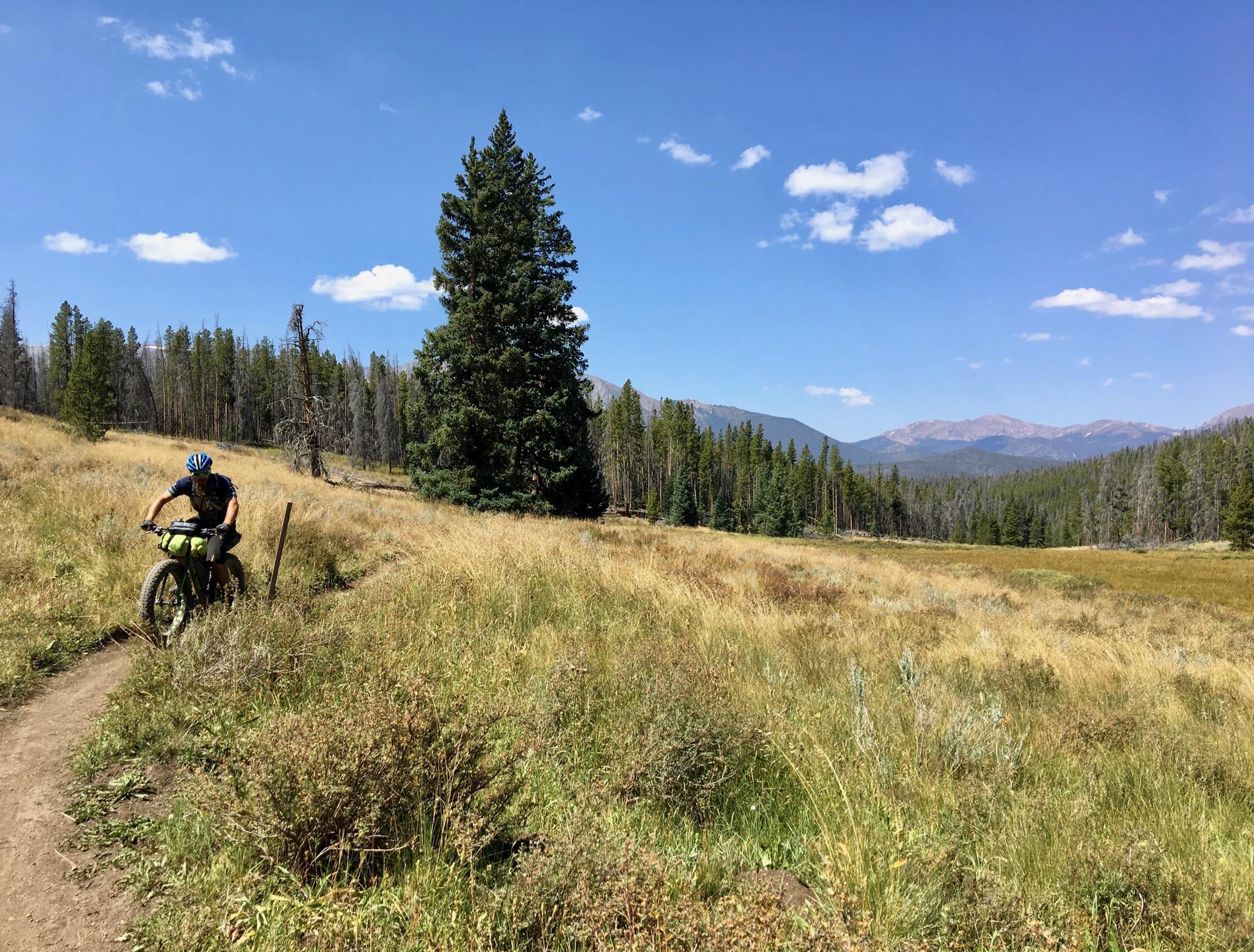 A person riding a fat bike along a dirt trail in a grassy, open field surrounded by coniferous trees and distant mountains under a clear blue sky with a few clouds. Colorado Trail: Kenosha Pass To Breckenridge mountain bike trail.