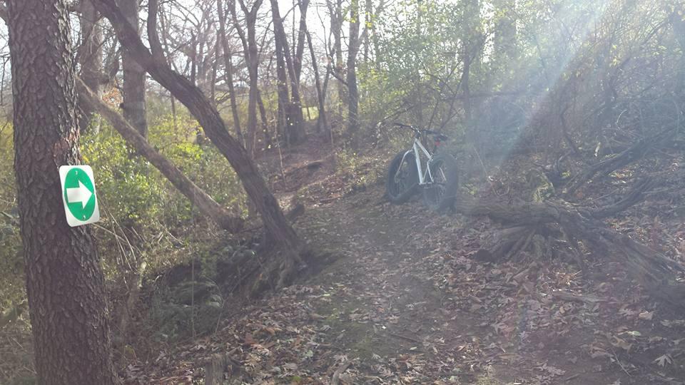 A narrow trail winds through a wooded area, with a white bicycle parked next to a tree. A green directional arrow sign is visible on the tree, guiding cyclists along the path. Sunlight filters through the trees, creating a soft, glowing effect in the scene. Fallen leaves are scattered on the ground, indicating the autumn season. Memorial Park Trails mountain bike trail.