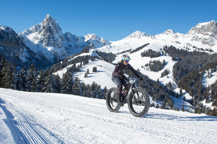 A cyclist rides a fat bike on a snowy mountain trail, with snow-covered peaks and evergreen trees in the background under a clear blue sky.