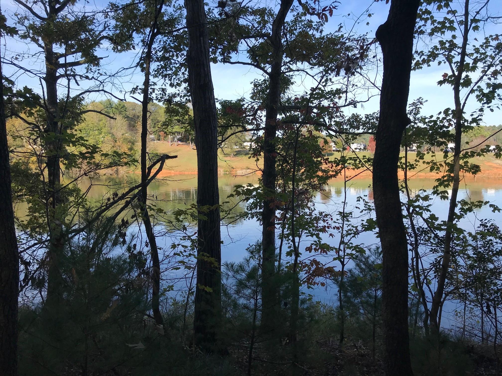 A scenic view of a tranquil lake surrounded by trees, with reflections of the greenery on the water's surface. The background features gently sloping land with a few houses visible. The scene is illuminated by soft natural light, suggesting a peaceful outdoor setting. Overmountain Victory Trail mountain bike trail.