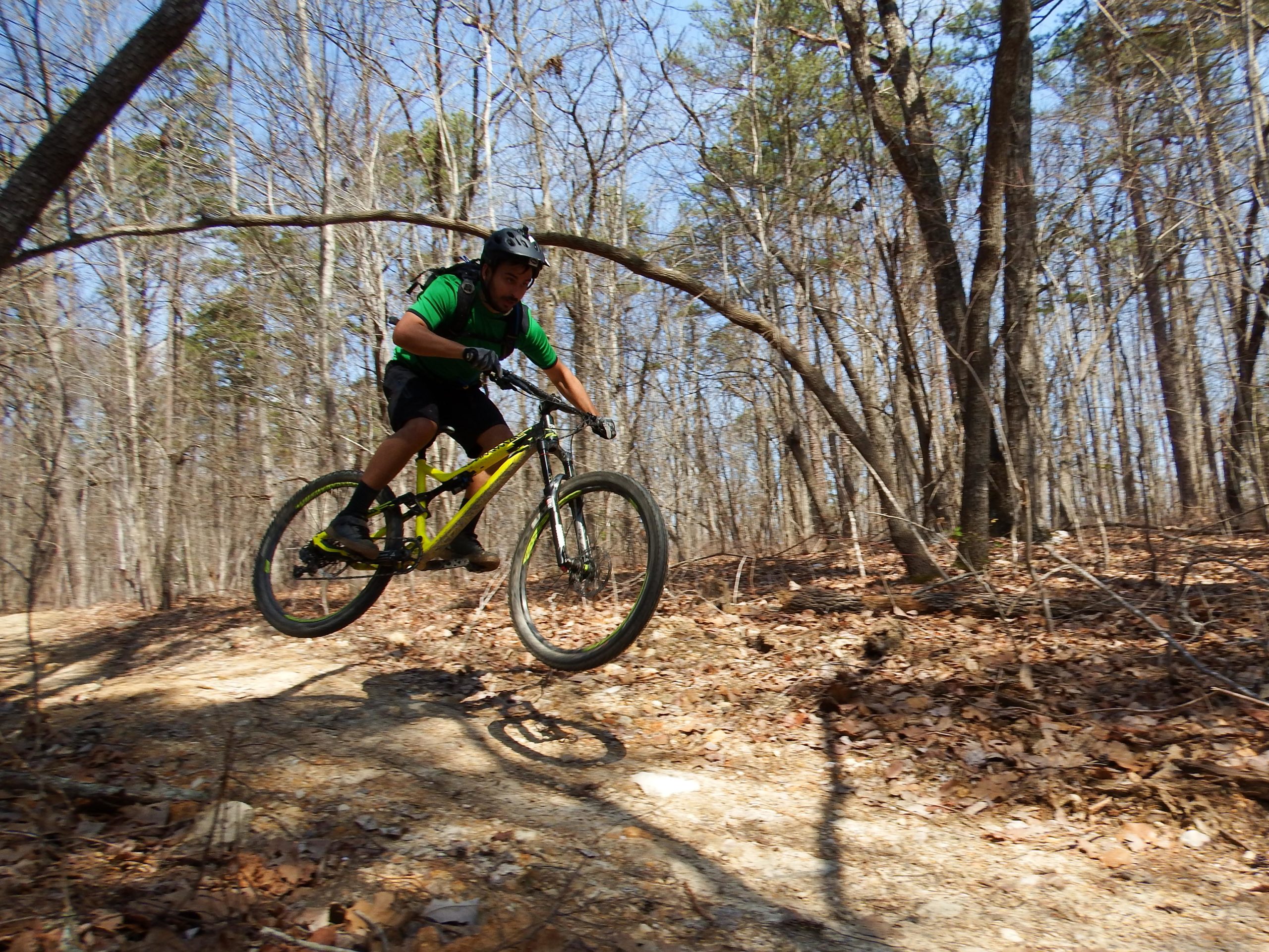 A mountain biker wearing a green shirt and black shorts is jumping over a small incline on a forest trail, surrounded by trees and scattered leaves on the ground. Uwharrie NF: Wood Run, Supertree And Keyauwee mountain bike trail.