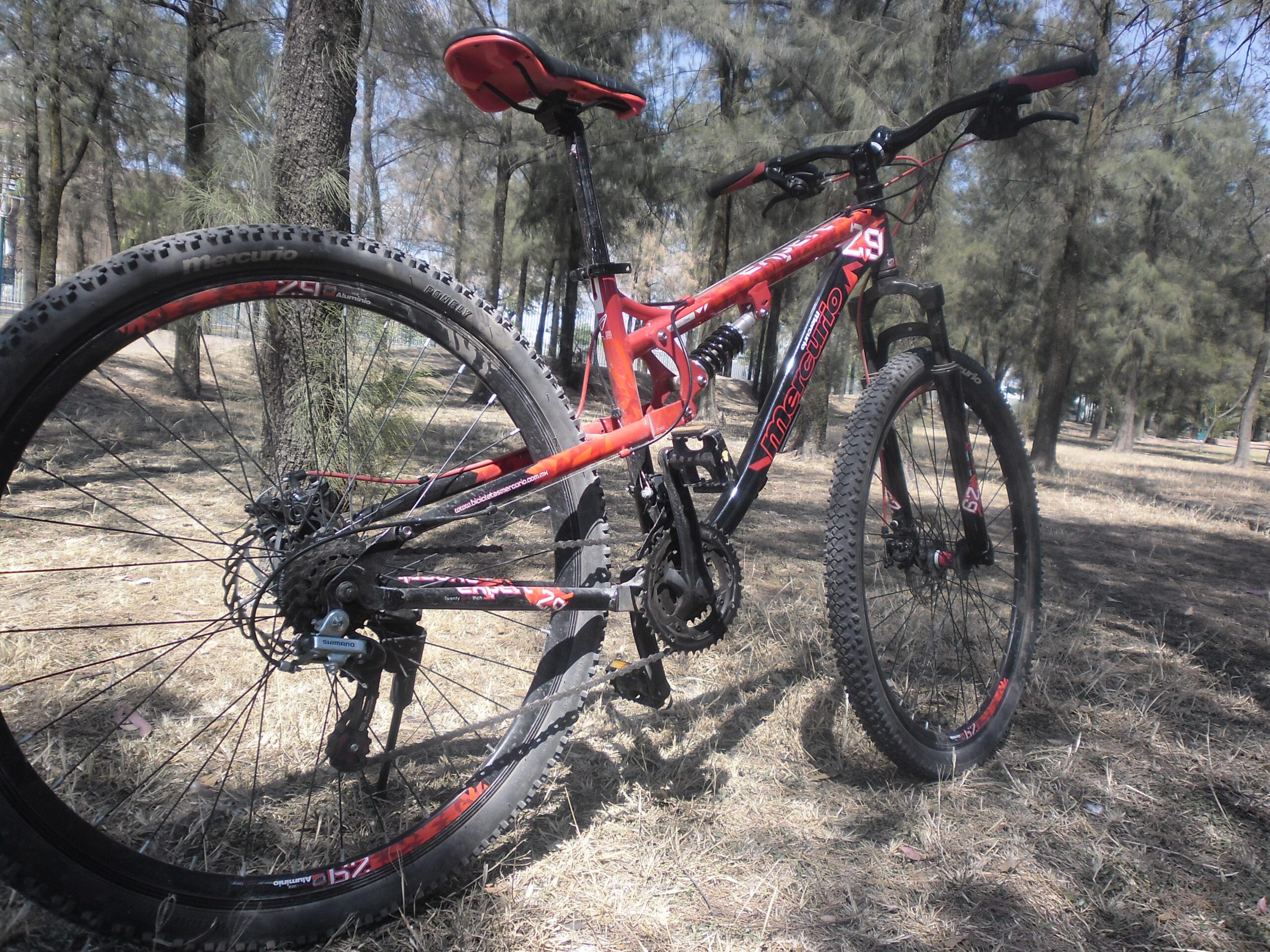 Mercurio Mercurio Expert: A red and black mountain bike is resting on the ground amidst a forested area, with tall trees in the background. The bike features thick tires and a prominent gear system, showcasing its design for rugged terrain. Sunlight filters through the trees, casting shadows on the ground covered in dry grass and leaves.