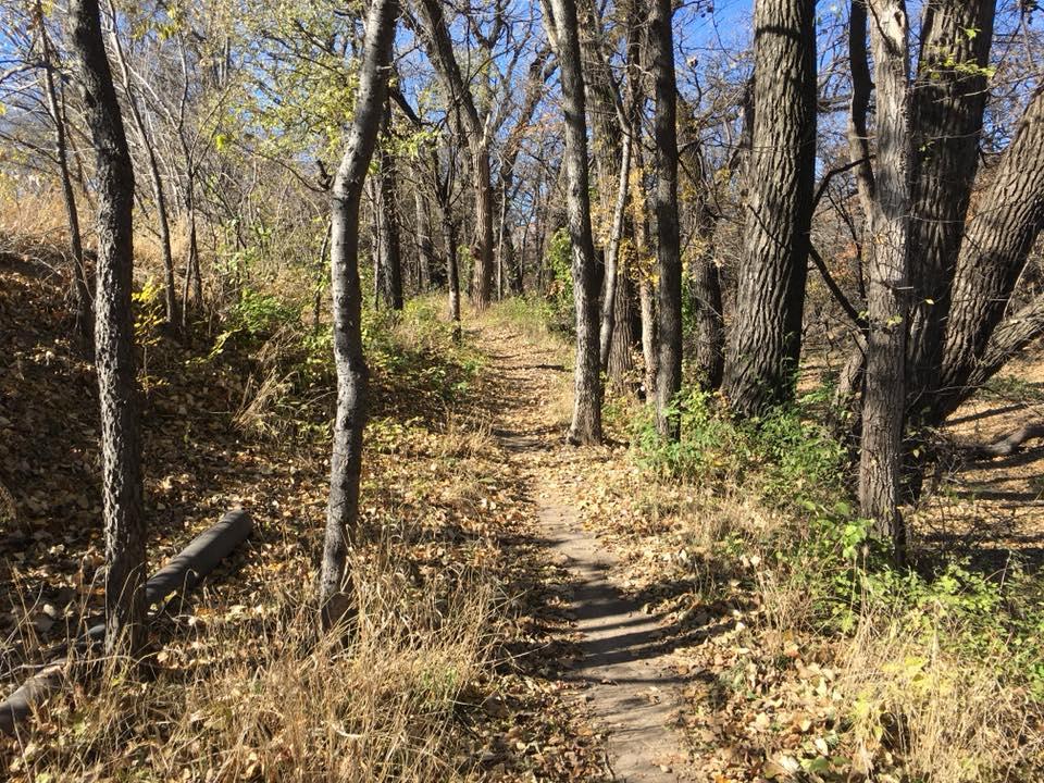 A wooded path lined with trees and fallen leaves, leading through a sunny forest. The ground is covered with dry grass and scattered foliage, while sparse sunlight filters through the branches above. Salina Ymca Loop mountain bike trail.