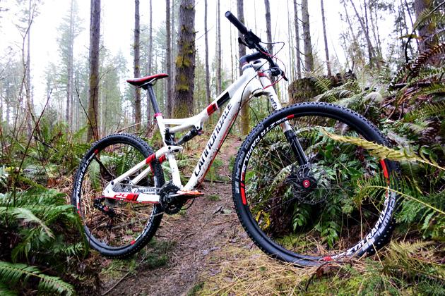 Cannondale Scalpel 29er 3: A mountain bike is leaned against a trail surrounded by dense greenery and tall trees in a forest setting. The bike features a white frame with red accents and is positioned on a narrow, earthy path, suggesting a rugged terrain perfect for cycling.