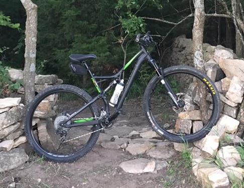 Specialized Camber Comp 29: A mountain bike resting against a stone wall in a forested area, surrounded by greenery and trees.