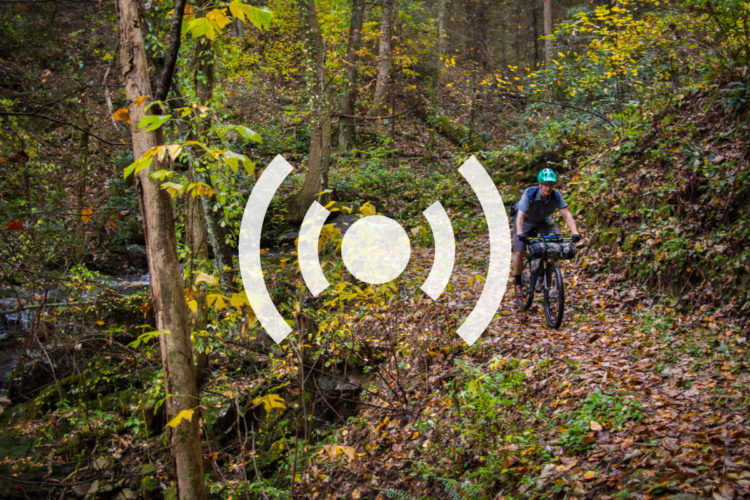 A mountain biker rides along a narrow, leaf-covered trail through a vibrant forest filled with autumn foliage. The scene includes greenery and trees, along with a small stream visible in the background. Overlaying the image is a graphic symbol representing audio or sound.
