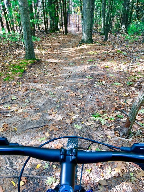 A view from the handlebars of a mountain bike, looking down a narrow, winding trail in a wooded area. The ground is covered with fallen leaves and the trail is bordered by tall, green trees, creating a serene and inviting atmosphere for outdoor biking. Riley Trails mountain bike trail.