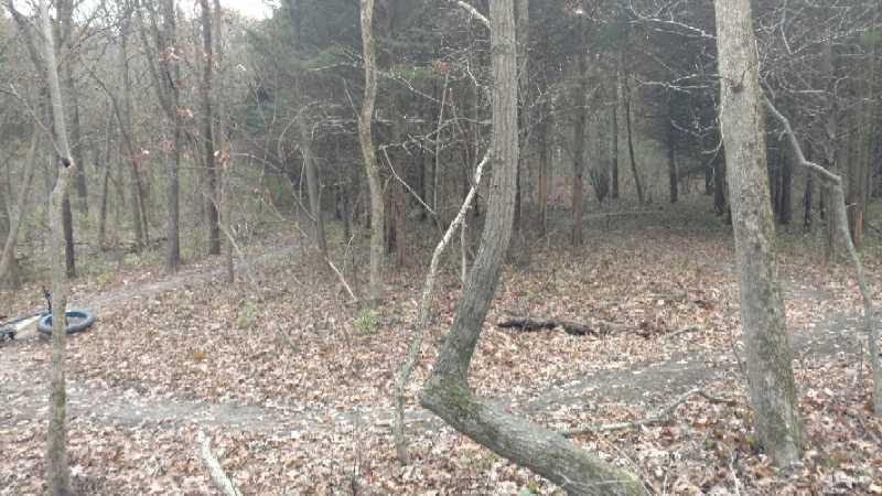 A wooded area featuring leaf-covered ground, with several trees and a visible dirt path that forks in the distance. A bicycle tire is partially visible on the left side of the image. The scene is set in a natural, outdoor environment, suggesting a tranquil and slightly overcast day. Kinsey Park mountain bike trail.