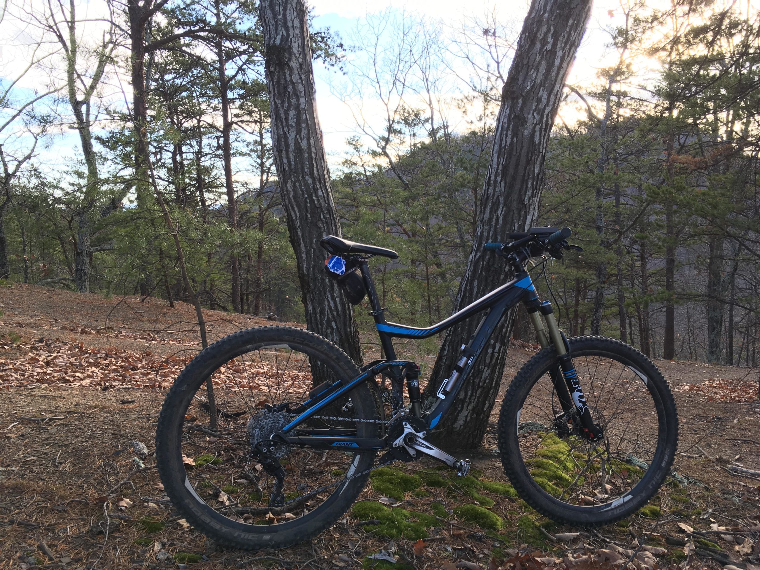 A mountain bike leaning against a tree in a wooded area, surrounded by fallen leaves and sparse greenery, with a background of trees and a cloudy sky. Carvin's Cove Trail system mountain bike trail.