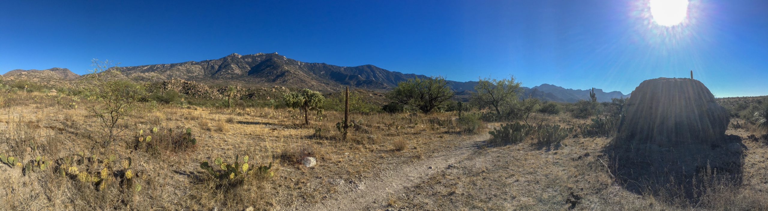 Panoramic view of a desert landscape featuring sparse vegetation, cacti, and a rocky hillside under a clear blue sky. The sun shines brightly in the upper right corner, casting rays over the scene, which includes scattered shrubs and a prominent rock formation in the foreground. 50-year Trail / Golder Ranch mountain bike trail.