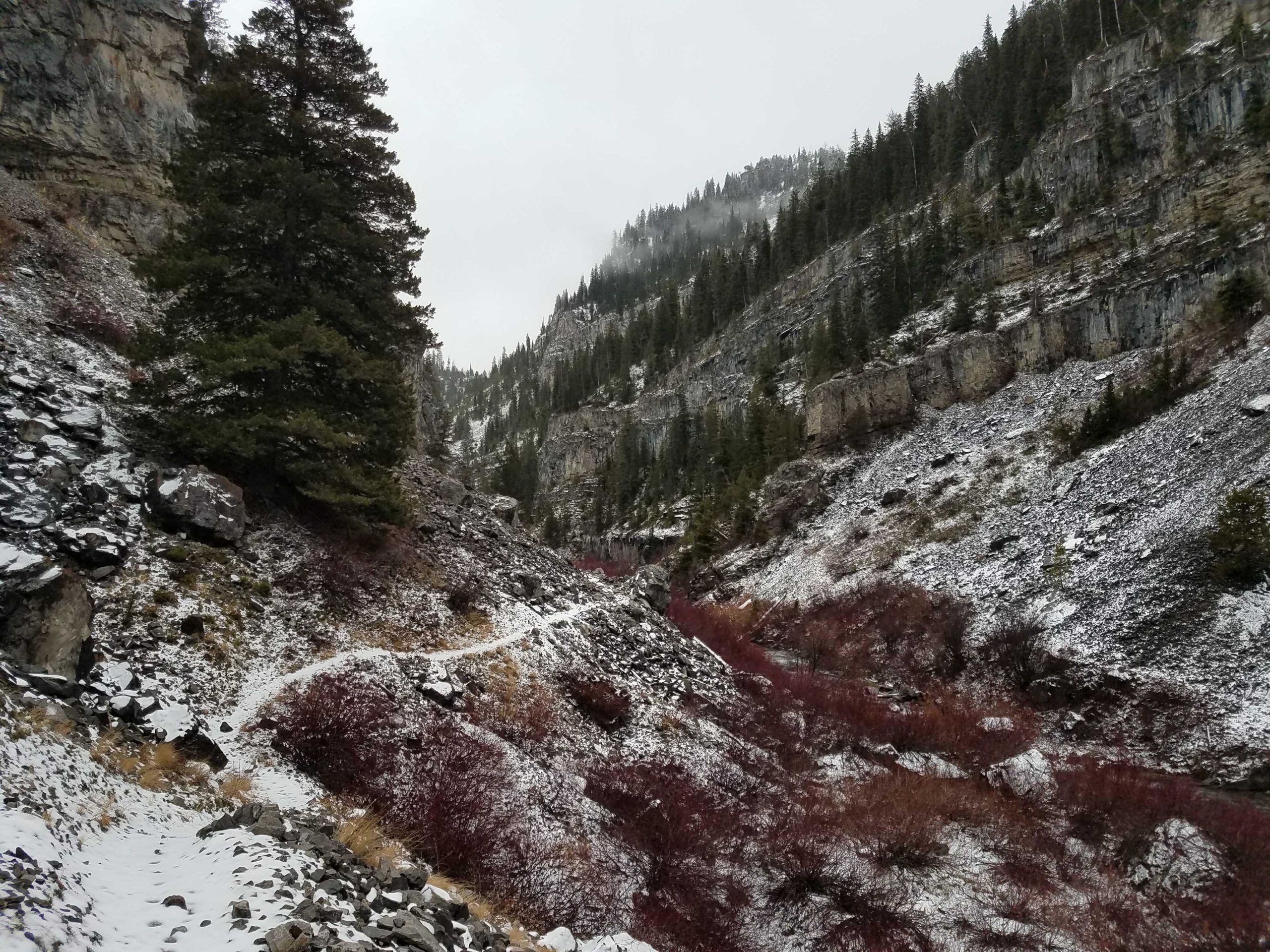 A snow-covered mountainous landscape featuring steep rocky cliffs, a tall evergreen tree on the left, and a winding path through the valley. The foreground includes patches of red vegetation, and the scene is set under a cloudy sky, suggesting a cold, overcast day in a natural area. Big Elk Creek Trail mountain bike trail.