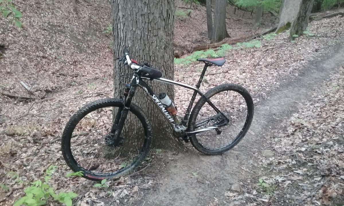 A mountain bike leans against a tree on a dirt trail surrounded by fallen leaves and greenery, indicating an outdoor biking location in a forested area. Royalview mountain bike trail.