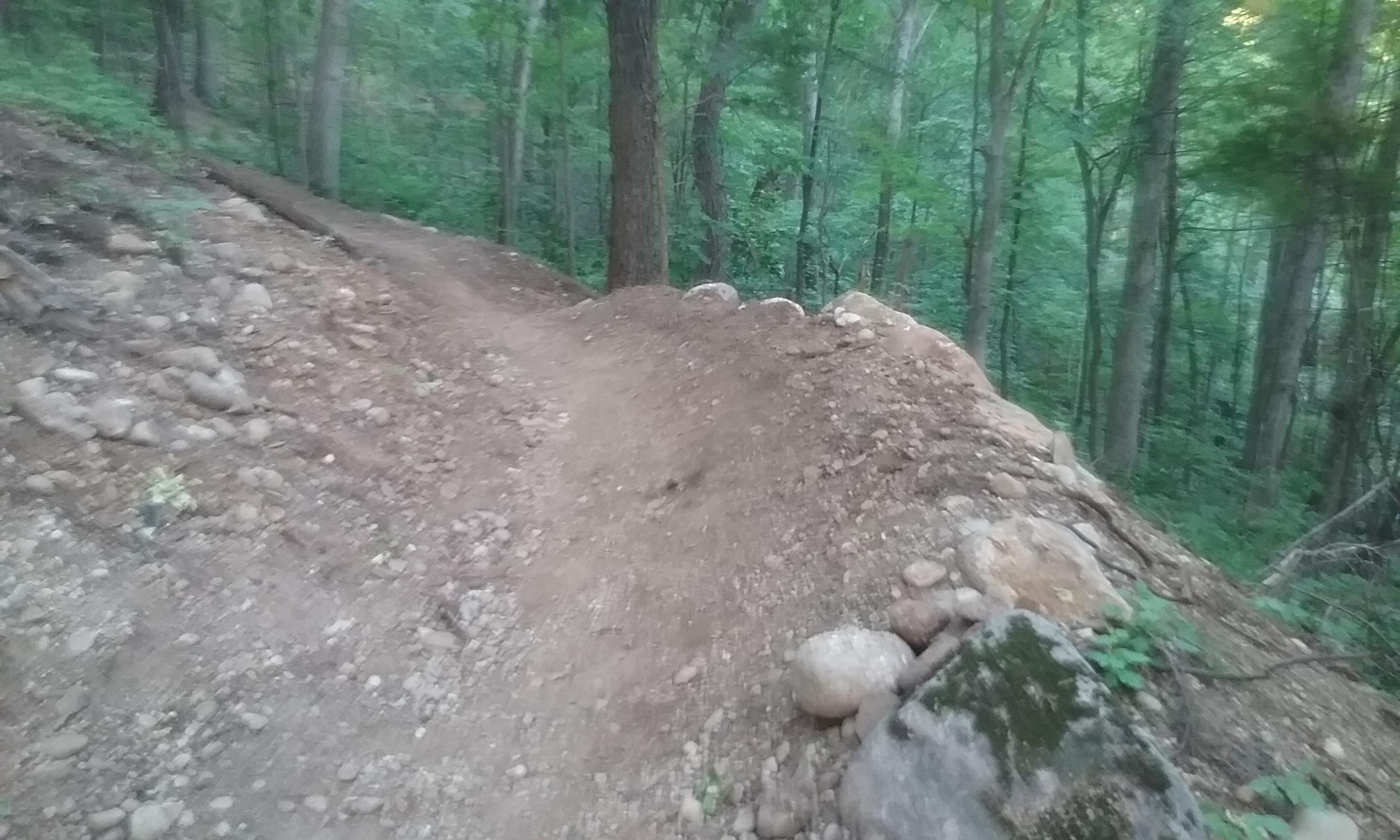 A dirt biking trail in a wooded area, featuring a dirt jump with a small mound of dirt and scattered rocks. The background shows a dense forest with green foliage. DTE Energy Foundation Trail mountain bike trail.