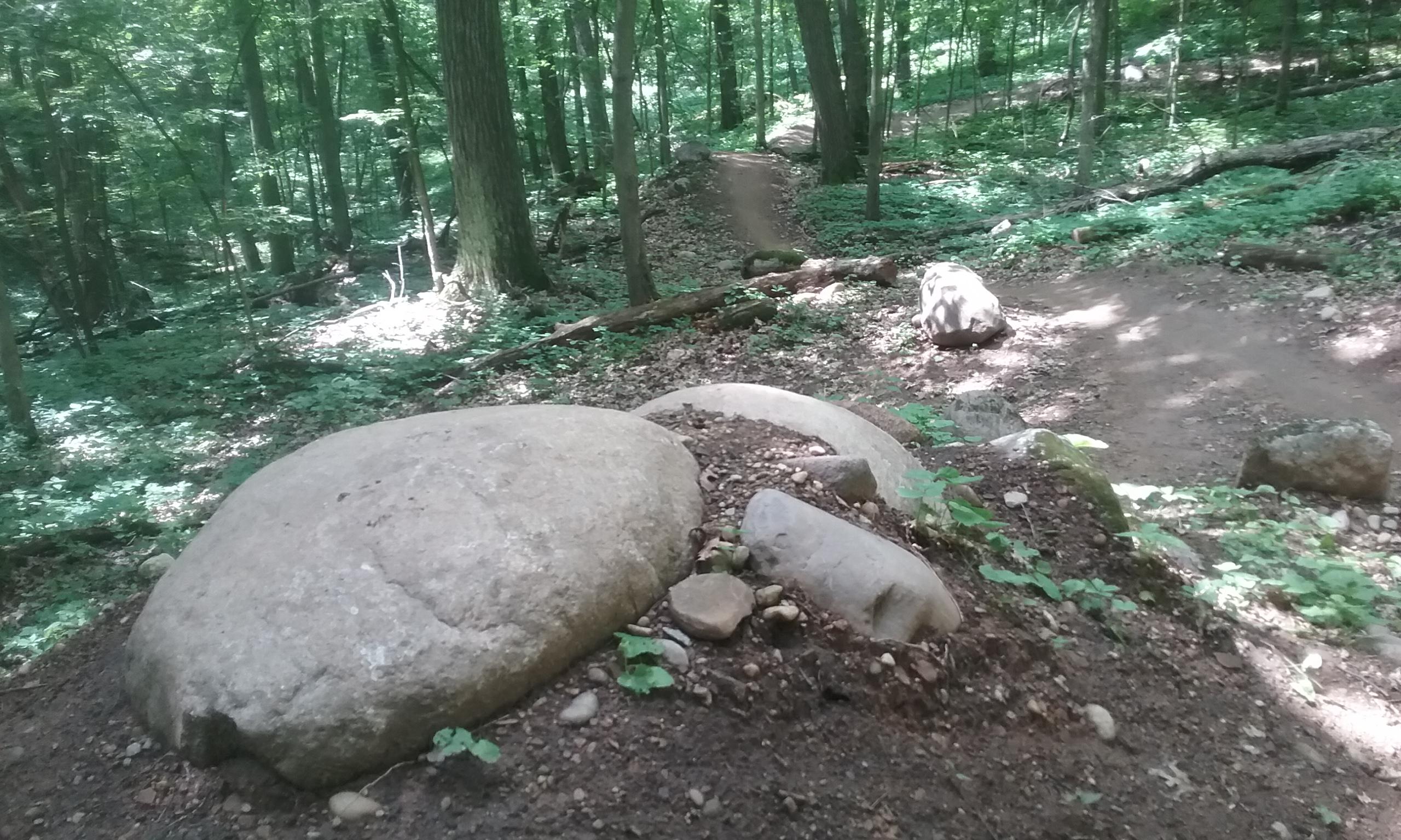 A forest scene featuring large rocks and a dirt hiking trail. Sunlight filters through the dense green foliage, highlighting the rocks and surrounding underbrush. The path winds through the trees, inviting exploration in a natural setting. DTE Energy Foundation Trail mountain bike trail.