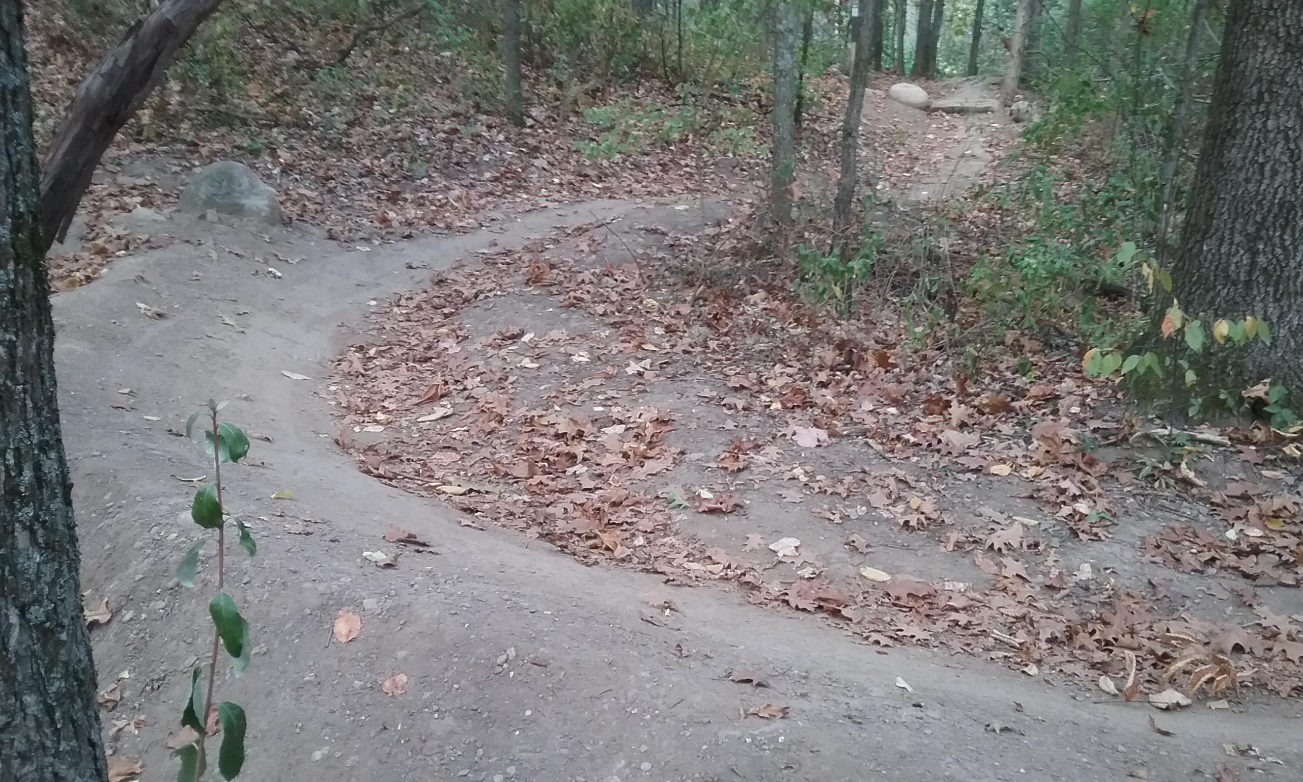 A winding dirt trail surrounded by trees and fallen leaves, leading through a wooded area. The path curves gently and is bordered by greenery, creating a serene natural setting. DTE Energy Foundation Trail mountain bike trail.