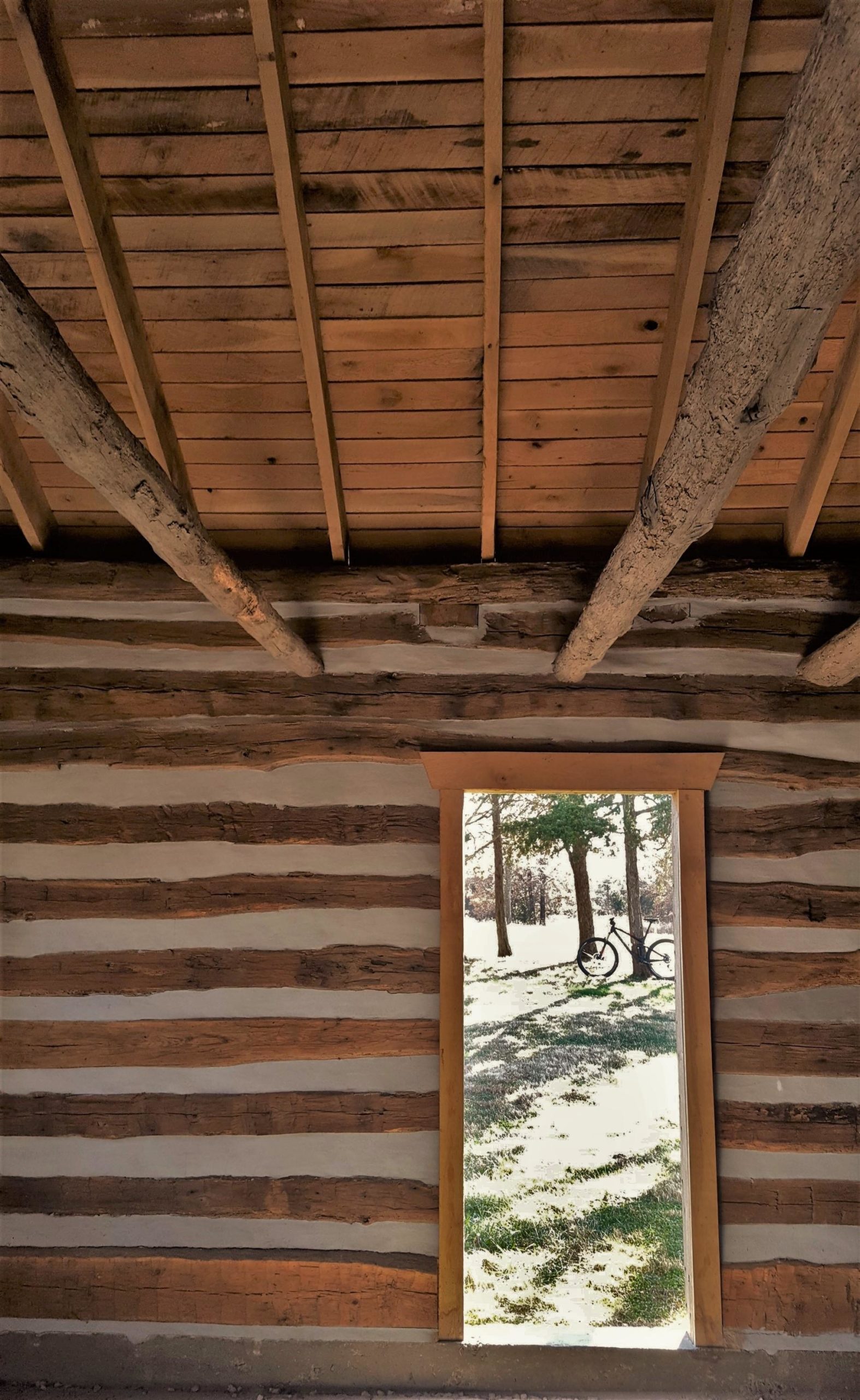 A view from inside a rustic log cabin showing wooden beams and walls, with an open door leading to a snowy outdoor scene featuring green grass and trees. A bicycle is visible outside the door, partially hidden in the grass. Rock Bridge Memorial State Park mountain bike trail.