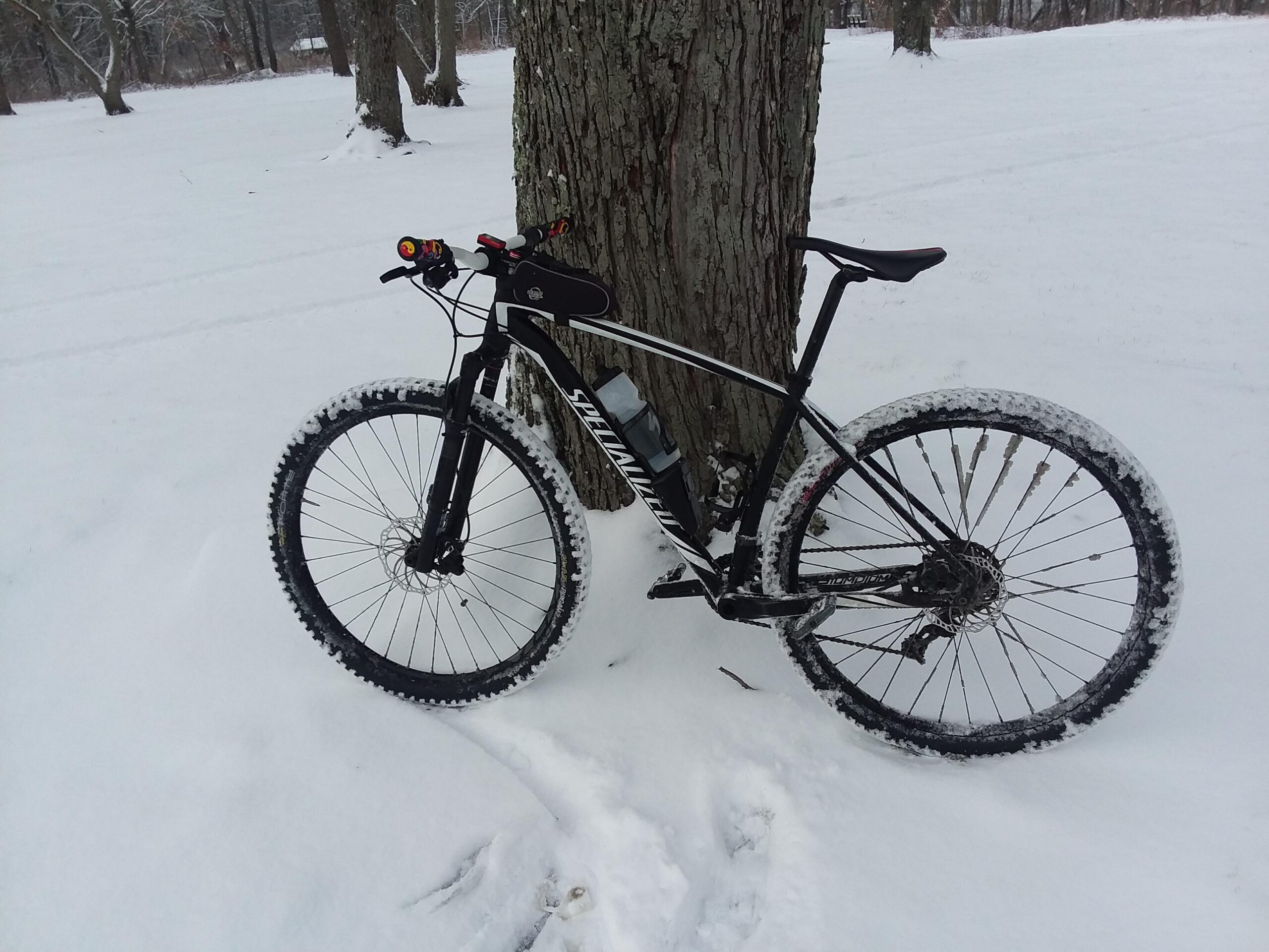 Specialized STUMPJUMPER COMP HT: A mountain bike leaning against a tree in a snowy landscape, with snow covering the ground and bike tires.