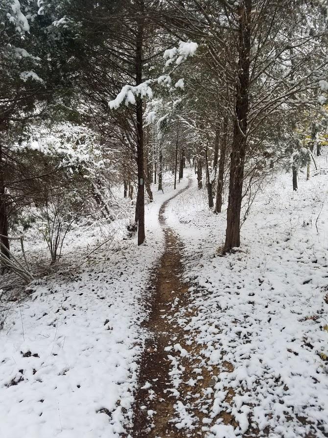 A winding dirt path through a snowy forest, lined with evergreen trees. The ground is covered in a layer of fresh snow, creating a peaceful winter landscape. Black Hill Regional Park mountain bike trail.