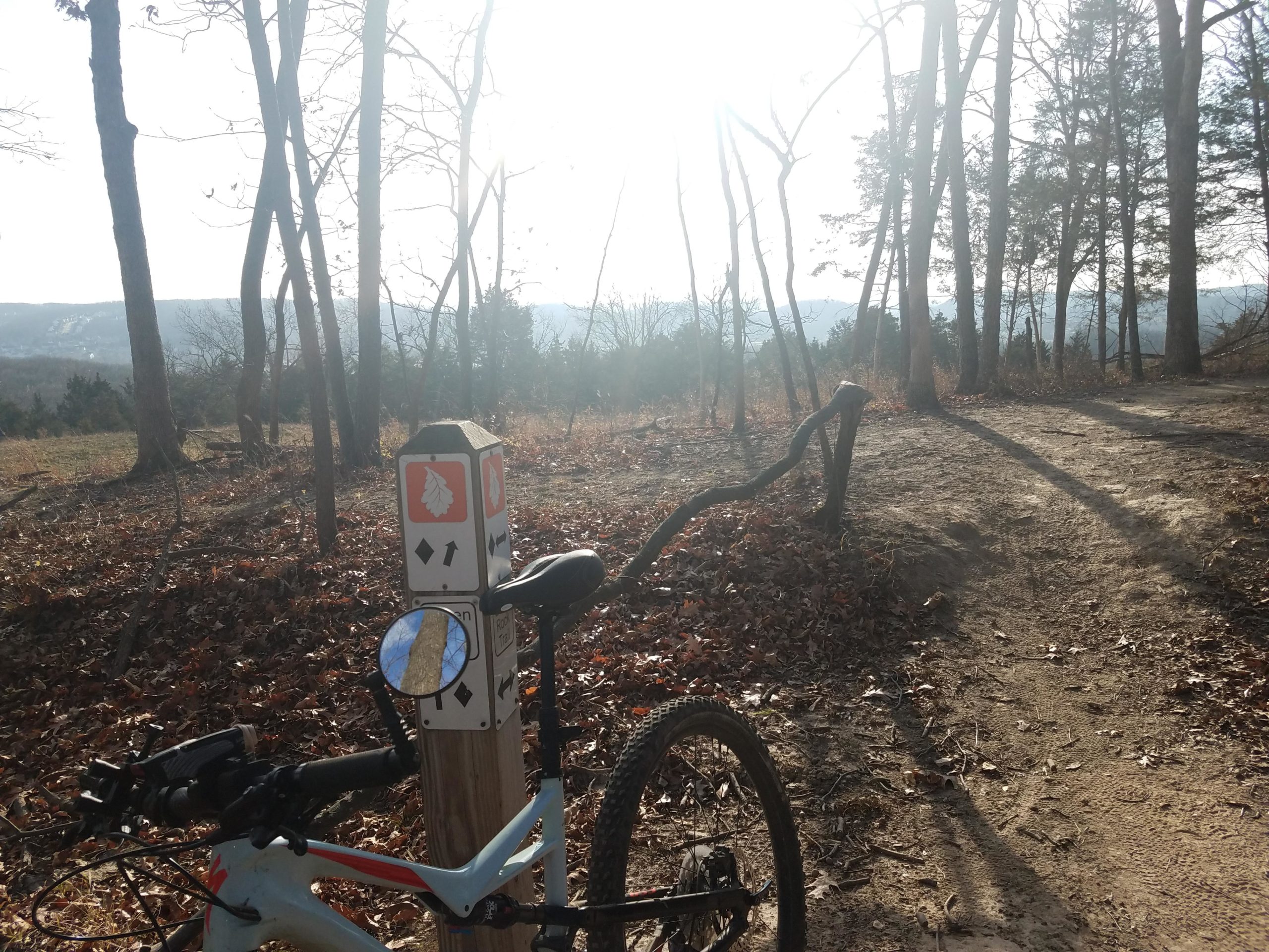 A mountain bike parked beside a trail marker in a wooded area with sunlight filtering through the trees. The marker displays trail symbols and arrows, indicating the direction for bikers. In the background, a scenic view of a distant landscape can be seen through the trees. The ground is covered with fallen leaves and the path is sandy. Green Rock trail mountain bike trail.