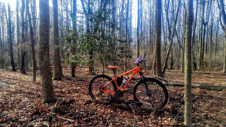 A bright orange mountain bike rests on a fallen log in a wooded area, surrounded by bare trees and scattered leaves on the ground, with sunlight filtering through the branches. Mercer County Park mountain bike trail.