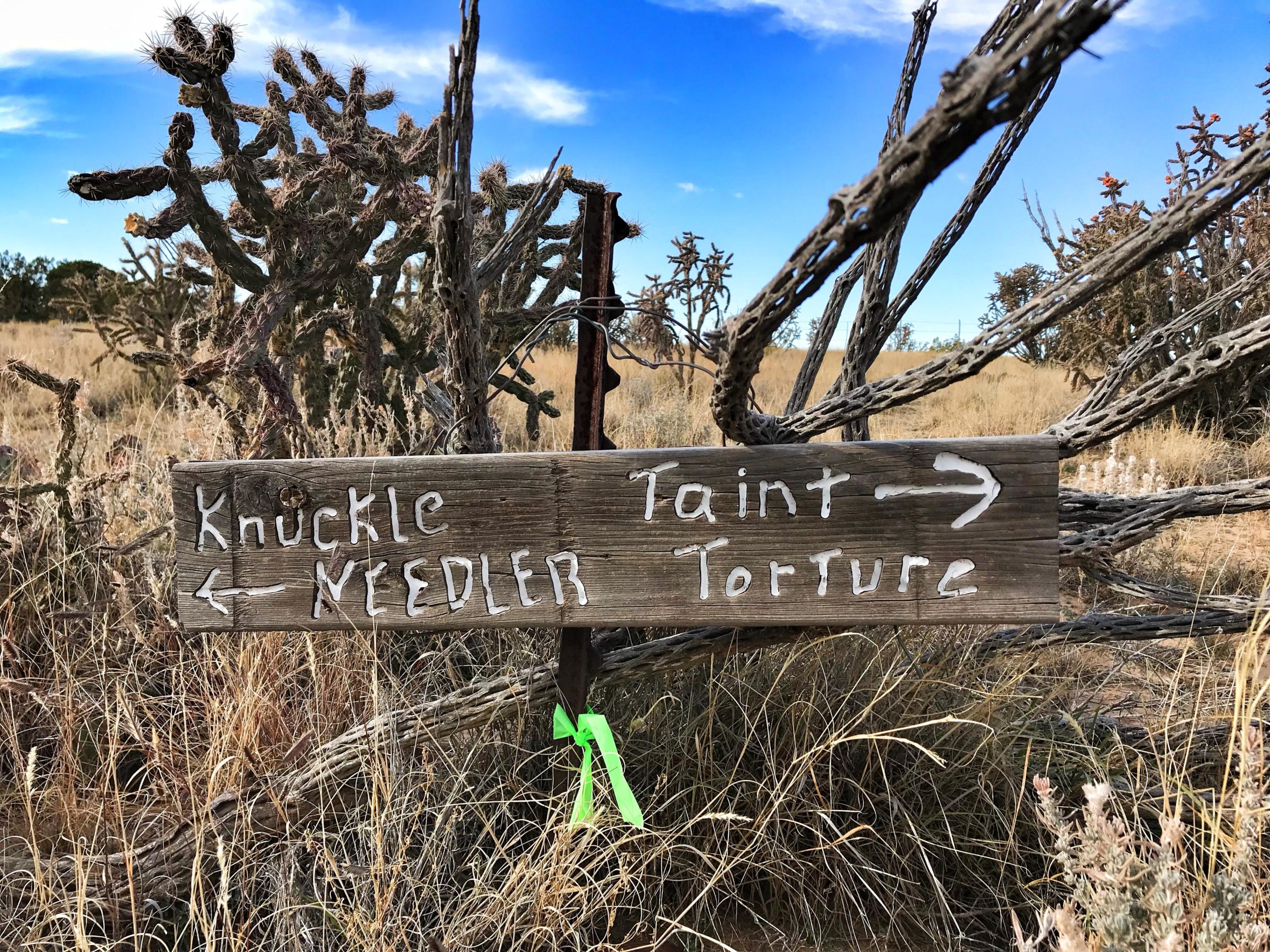 A wooden signpost in a grassy landscape, with directional arrows and humorous labels that read "Knuckle" and "Needler" pointing left, and "Taint" and "Torture" pointing right, surrounded by cacti and dry grass under a blue sky. Mariposa Fat Bike Trails mountain bike trail.