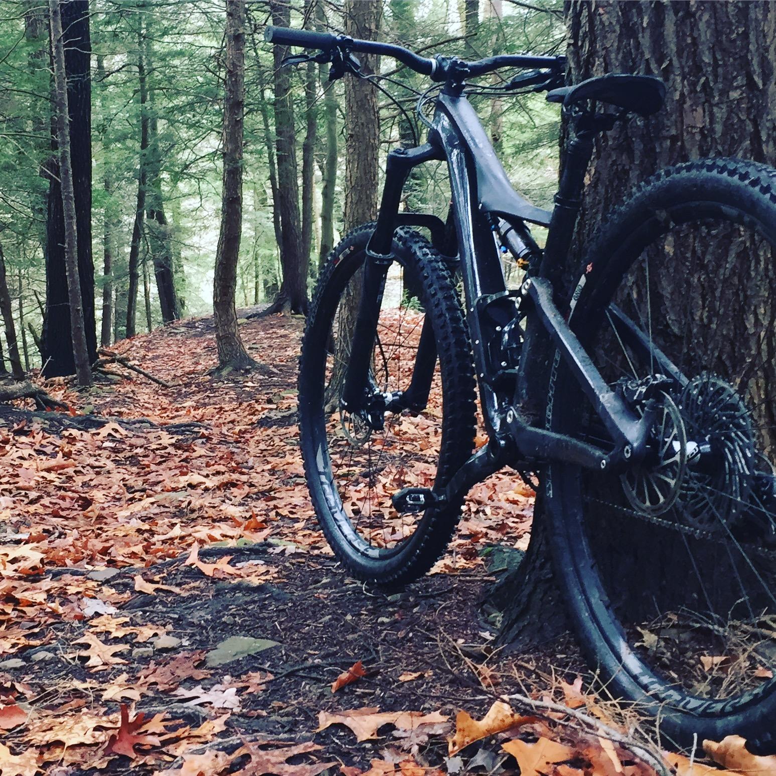 A mountain bike resting against a tree along a dirt trail covered with fallen leaves, surrounded by tall trees in a forest setting. Brady's Run County Park mountain bike trail.