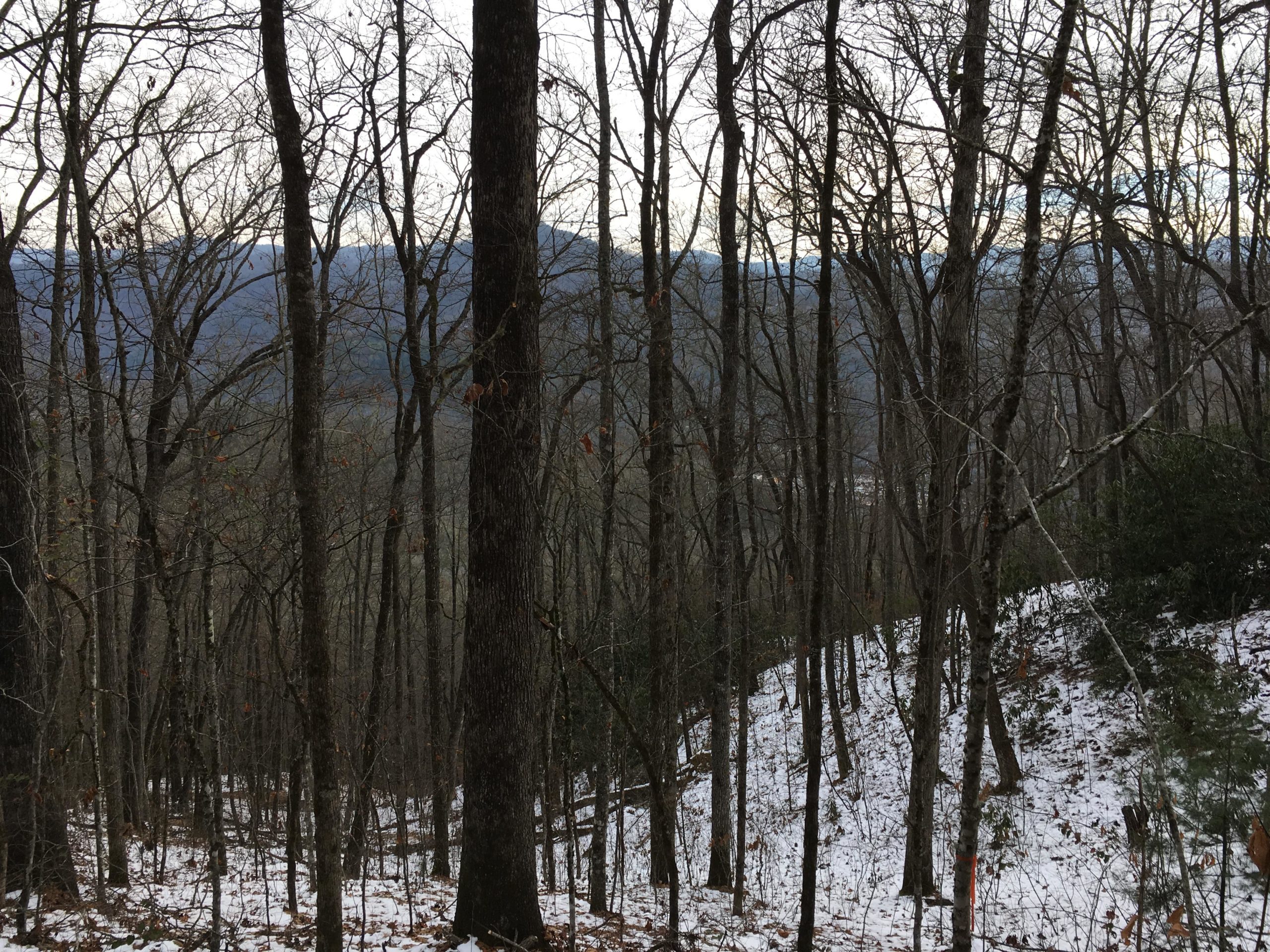 A winter landscape featuring a sparse forest with bare trees and a light dusting of snow covering the ground. In the background, rolling hills and mountains are visible under a cloudy sky. The scene conveys a serene, tranquil atmosphere typical of late autumn or early winter. Fire Mountain Trail System mountain bike trail.
