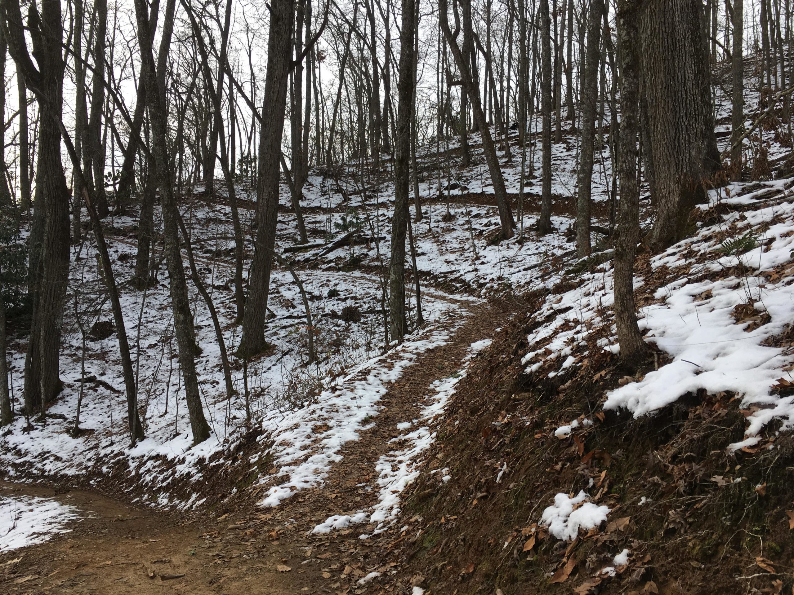 A winding dirt path through a forested landscape with bare trees and patches of snow covering the ground. Some fallen leaves are scattered along the trail and the terrain features gentle slopes. The scene is set in a subdued, wintry atmosphere. Fire Mountain Trail System mountain bike trail.