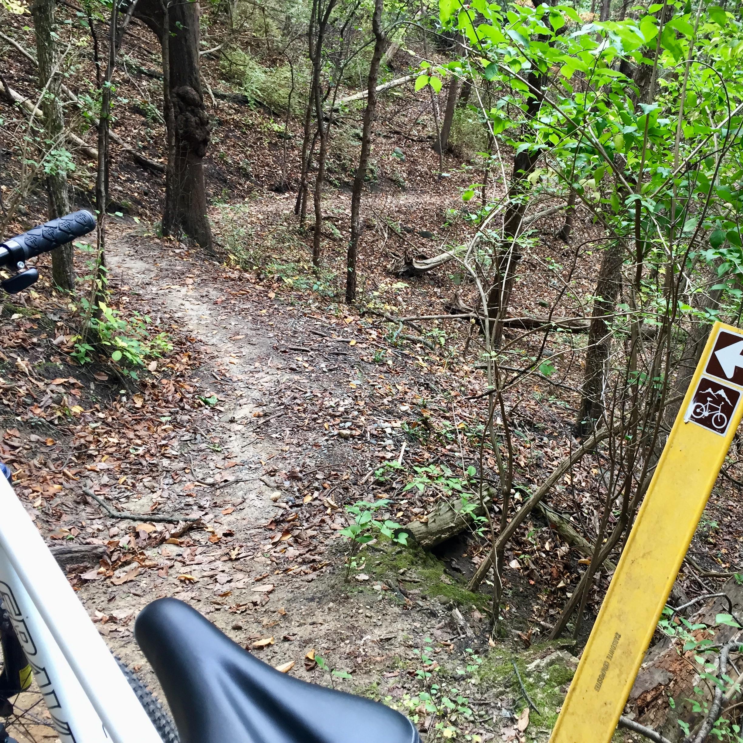 A mountain bike is positioned in the foreground, with a dirt trail winding through a densely wooded area in the background. The ground is covered in fallen leaves, and a yellow trail marker indicating a bike path is visible to the right. The scene captures a serene and natural environment, ideal for biking enthusiasts. Bloomer Park mountain bike trail.