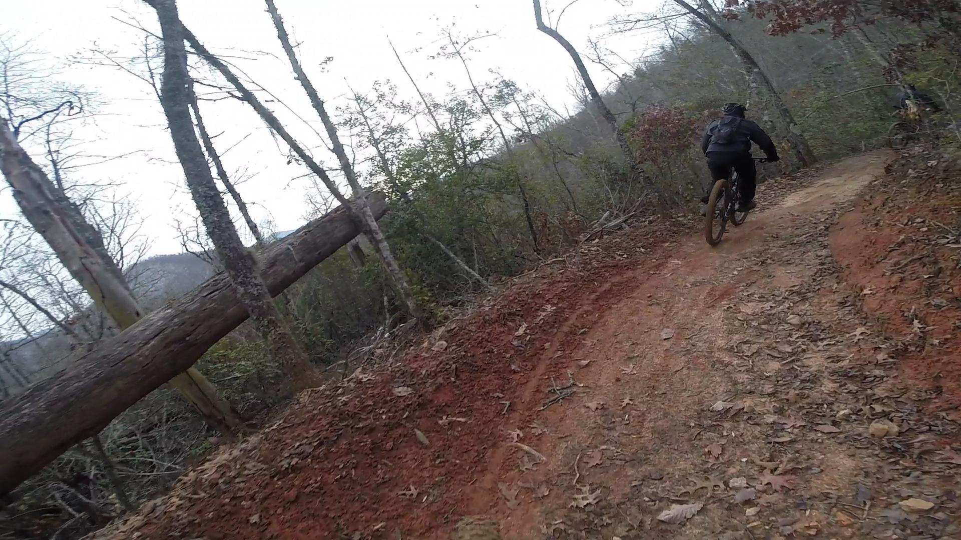 A mountain biker navigating a dirt trail in a wooded area, with a fallen log crossing the path and trees in the background. The scene shows autumn leaves scattered on the ground and a cloudy sky above. Fire Mountain Trail System mountain bike trail.