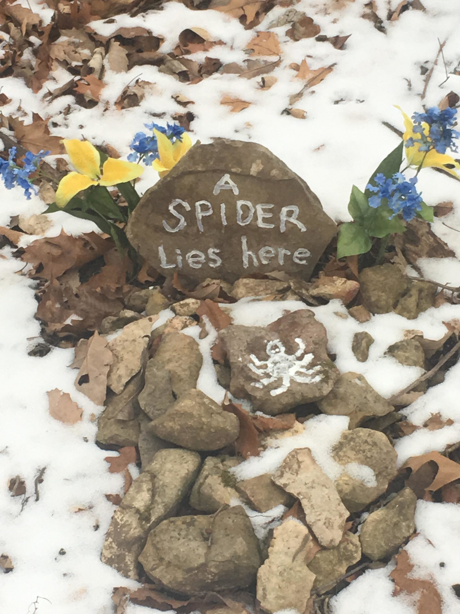 A memorial area in a snowy landscape features a stone with the inscription "A SPIDER Lies here," flanked by colorful artificial flowers. The surrounding area is covered in fallen leaves and small rocks, with one rock painted to resemble a spider. Perry Lake Bike Trail mountain bike trail.