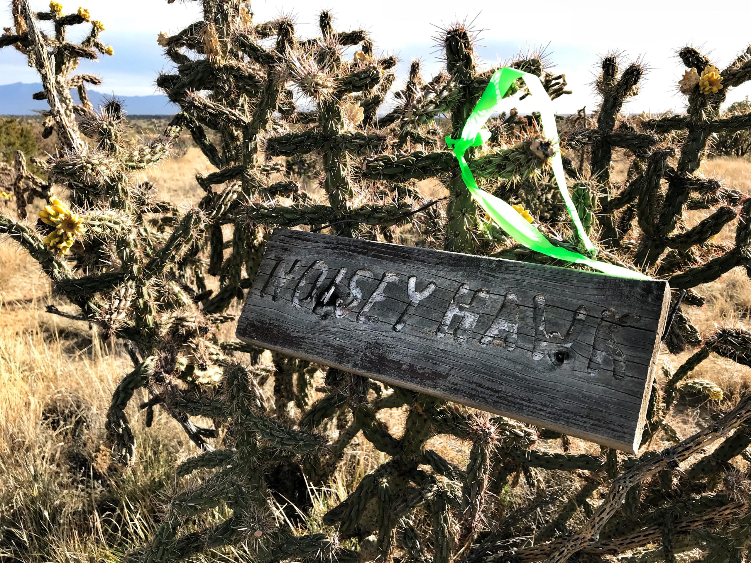 Wooden sign labeled "HONEYHAWK" hanging on a prickly cactus with yellow flowers, set against a backdrop of dry grass and distant mountains under a cloudy sky. Mariposa Fat Bike Trails mountain bike trail.