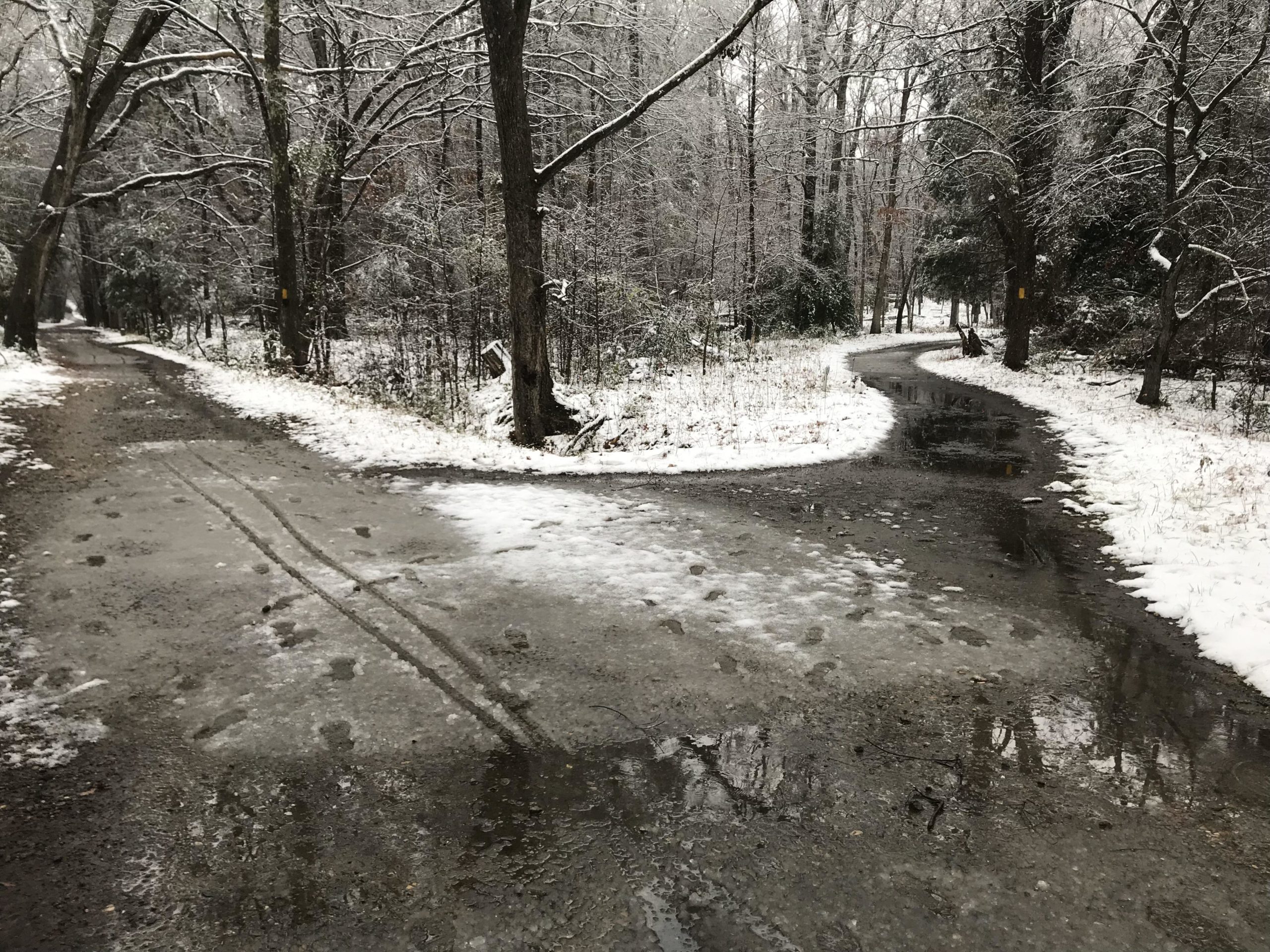 A snowy scene depicting a fork in a forest path, with one side covered in a layer of snow and the other showing slight water accumulation. Footprints and tire tracks are visible on the icy surface, surrounded by leafless trees and a quiet, wintry atmosphere. Petersburg National Battlefield mountain bike trail.