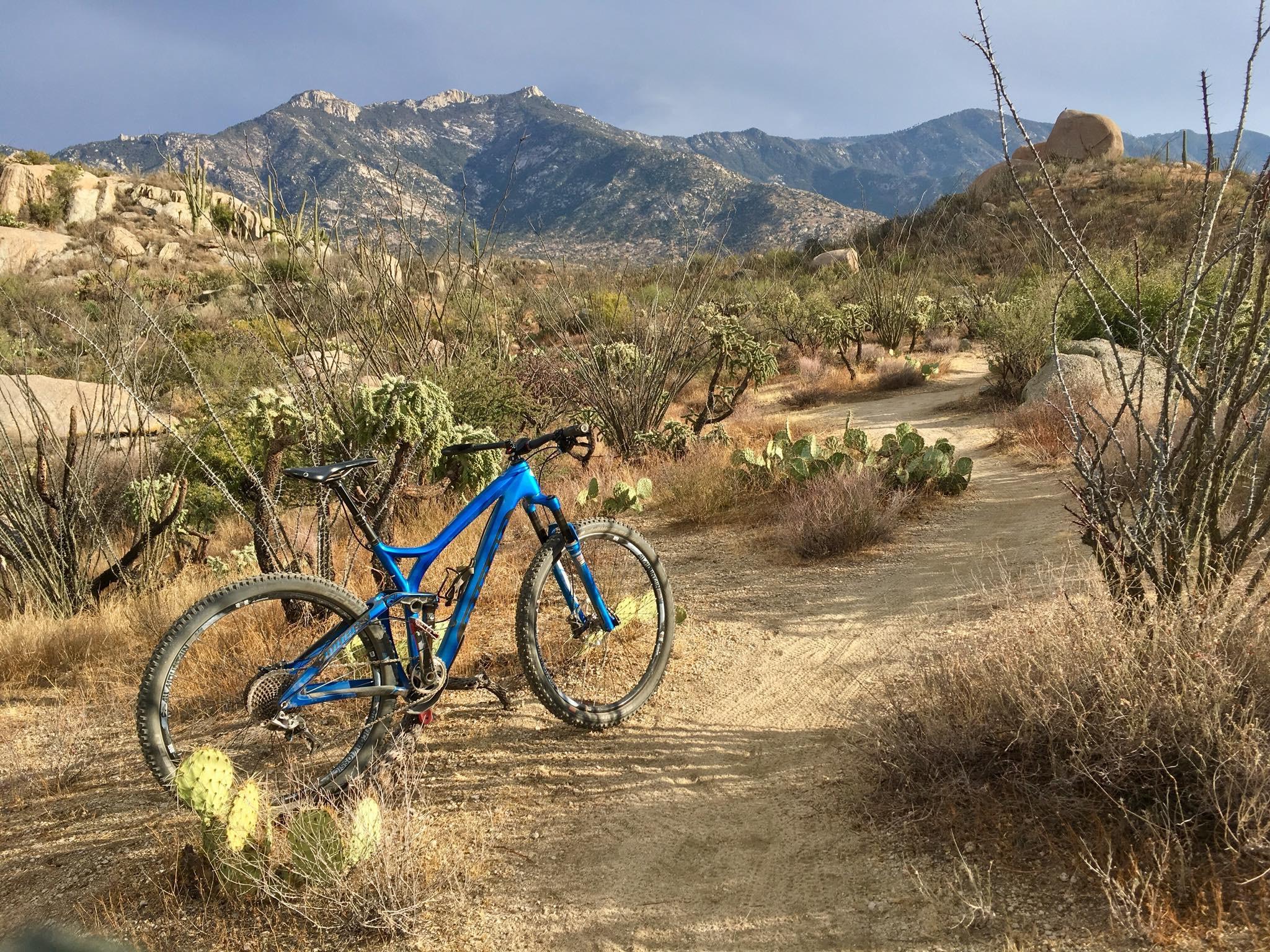 A blue mountain bike is positioned beside a dirt trail in a desert landscape, surrounded by cacti and sparse vegetation. The background features mountains under a cloudy sky, suggesting an outdoor setting suitable for biking and adventure. 50-year Trail / Golder Ranch mountain bike trail.