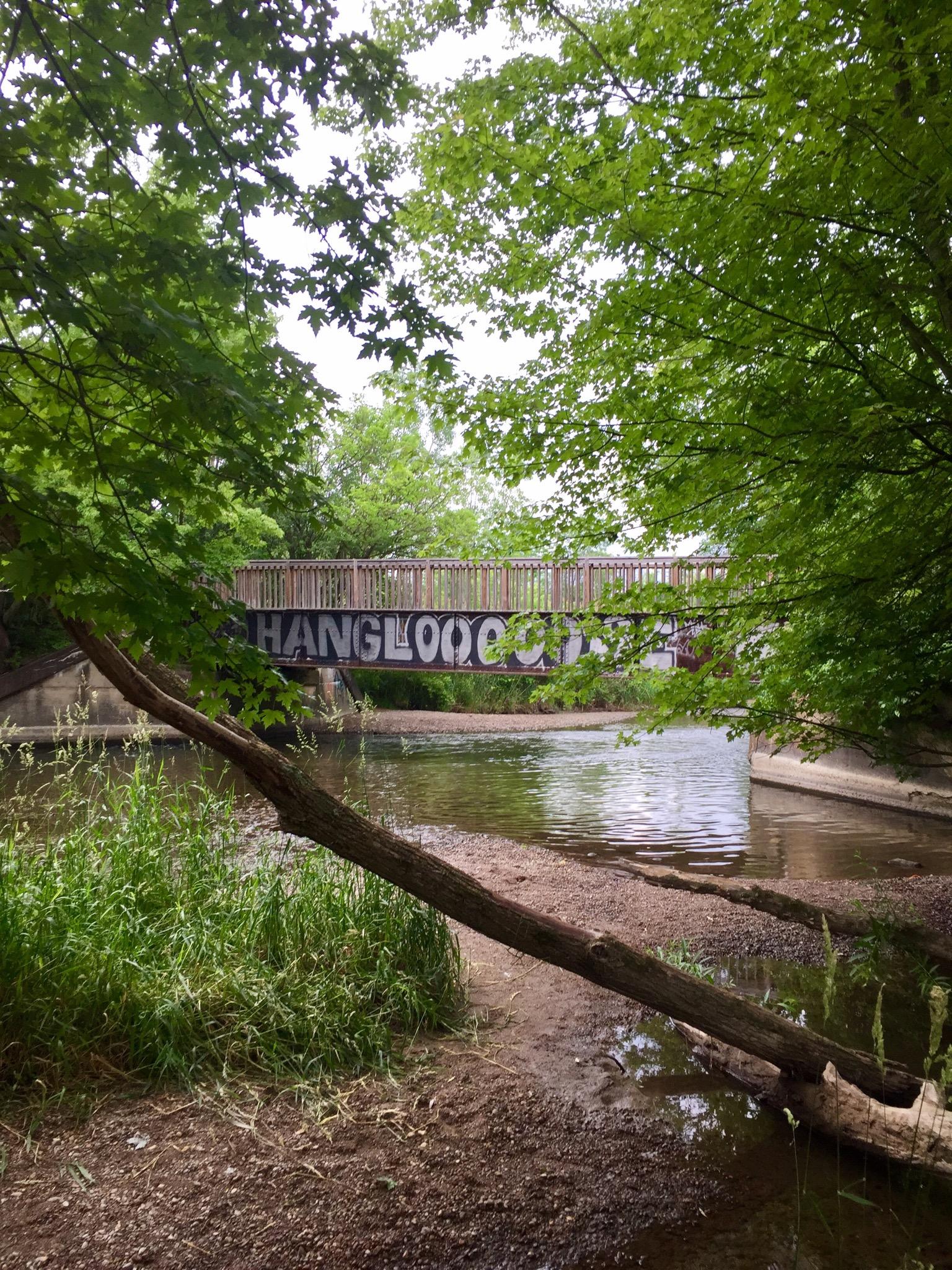A view of a riverbank framed by lush green foliage, featuring a bridge in the background with graffiti that reads "HANGLOOSE." The water reflects the surrounding greenery, and a fallen tree branch extends into the river. Bloomer Park mountain bike trail.