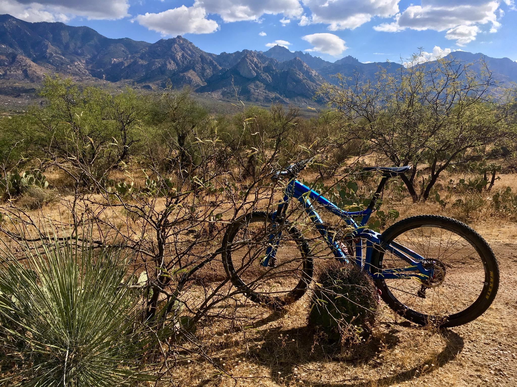 A blue mountain bike resting against a thorny bush in a desert landscape, with rugged mountains in the background and a partly cloudy sky. 50-year Trail / Golder Ranch mountain bike trail.