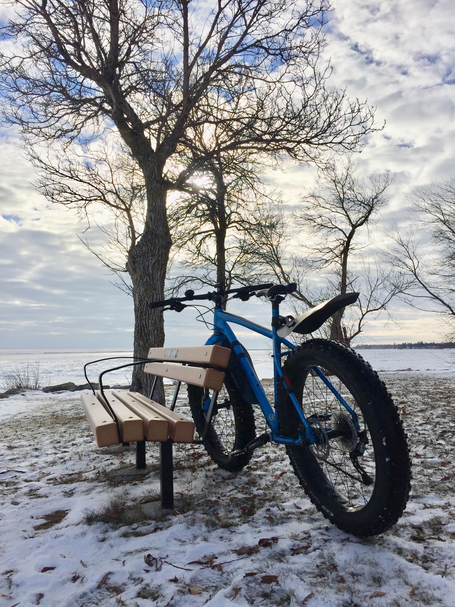 Felt Double Double: A blue fat bike parked beside a wooden bench under bare trees, with a snowy landscape in the background and a cloudy sky.