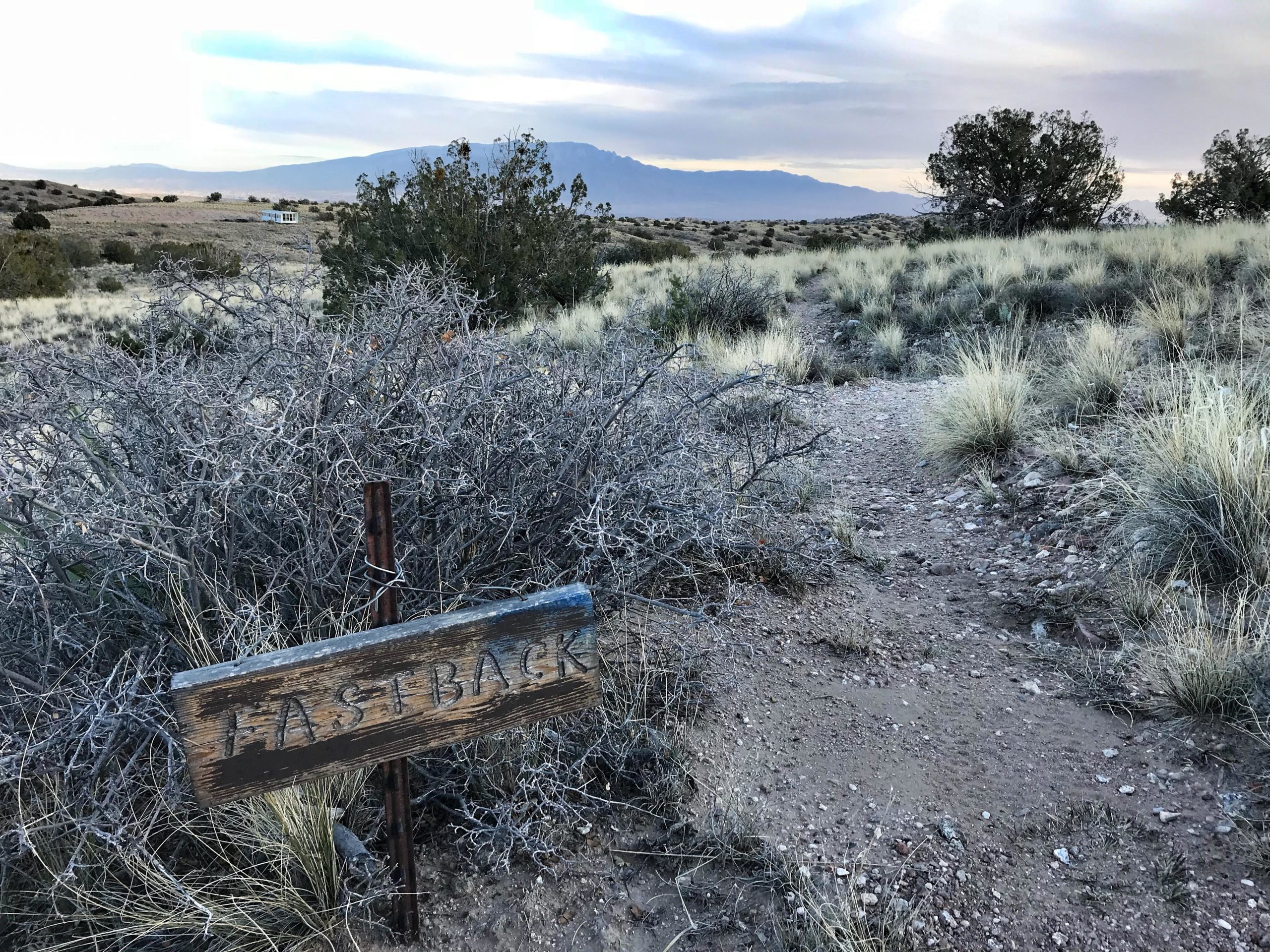 A dirt path leading through a sparse landscape with dry bushes and grass. A wooden sign labeled "FASTBACK" stands to the left of the trail, indicating the route. In the background, low mountains and a cloudy sky are visible, creating a serene, natural setting. Mariposa Fat Bike Trails mountain bike trail.