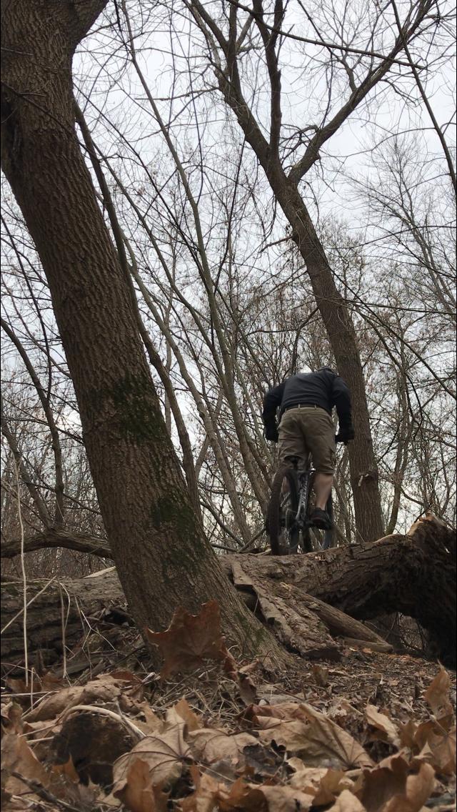 A person riding a mountain bike on a narrow path made of logs, surrounded by bare trees and fallen leaves in a wooded area. The scene is taken from a low angle, emphasizing the rugged terrain and natural environment. The sky is overcast, creating a moody atmosphere. Petrifying Springs mountain bike trail.