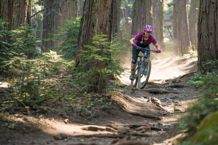 A person biking on a trail through a dense forest, surrounded by tall trees and greenery, with dust kicking up behind them. They are wearing a pink helmet and a purple shirt, navigating a rugged path with visible roots and rocks. The scene captures the excitement of mountain biking in a natural environment.