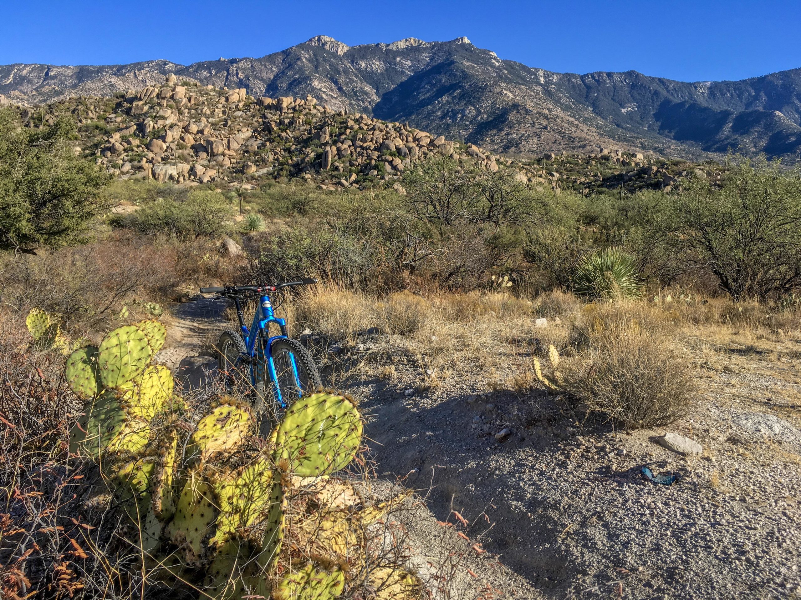 Alt text: A blue mountain bike parked on a dirt trail surrounded by desert vegetation, including cactus and shrubs, with rocky mountains in the background under a clear blue sky. 50-year Trail / Golder Ranch mountain bike trail.