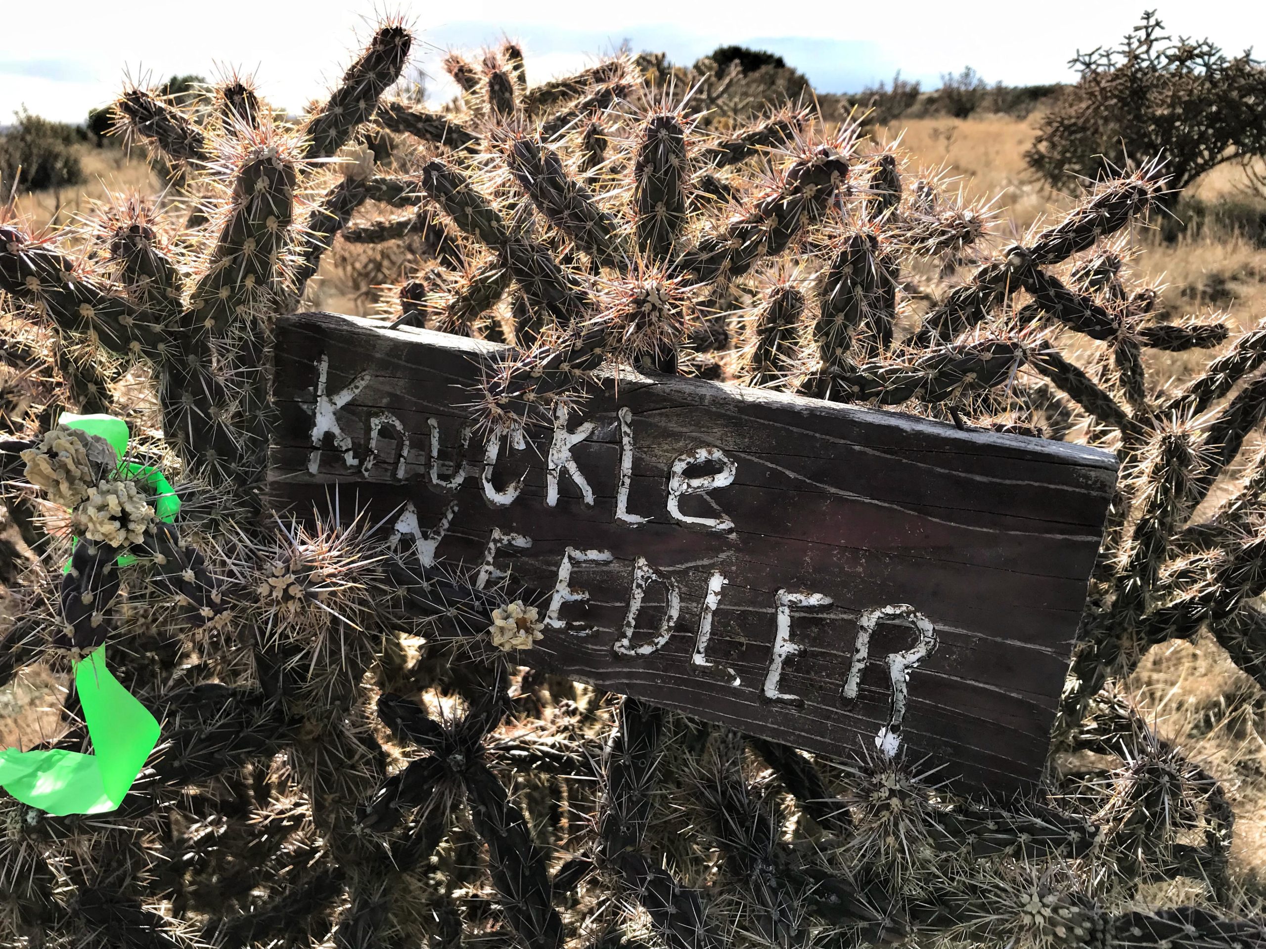 A rustic wooden sign reading "Knuckle Weedler" is partially visible, surrounded by a spiky cactus. The sign is adorned with small flowers and a green ribbon, set against a backdrop of a grassy landscape under a cloudy sky. Mariposa Fat Bike Trails mountain bike trail.