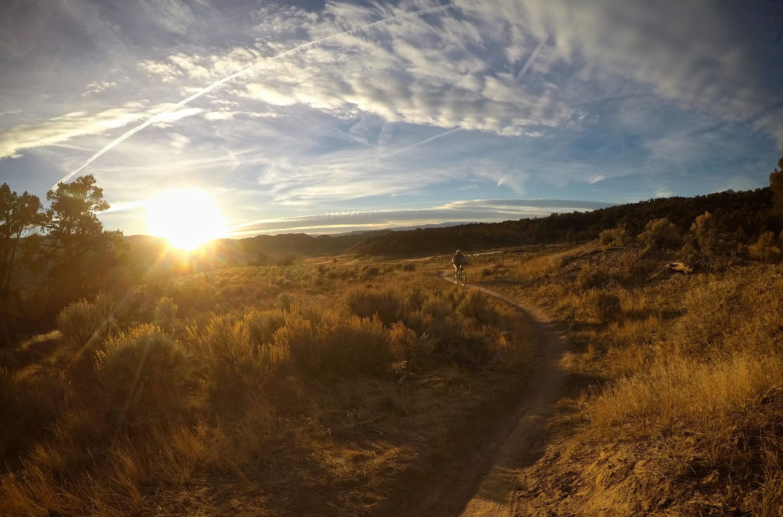 A scenic landscape featuring a winding dirt trail running through golden grasses and shrubs, with a cyclist riding towards a bright sunset. The sky is filled with soft clouds, and the sun is low on the horizon, casting warm light over the hills in the background. Haymaker Trail mountain bike trail.