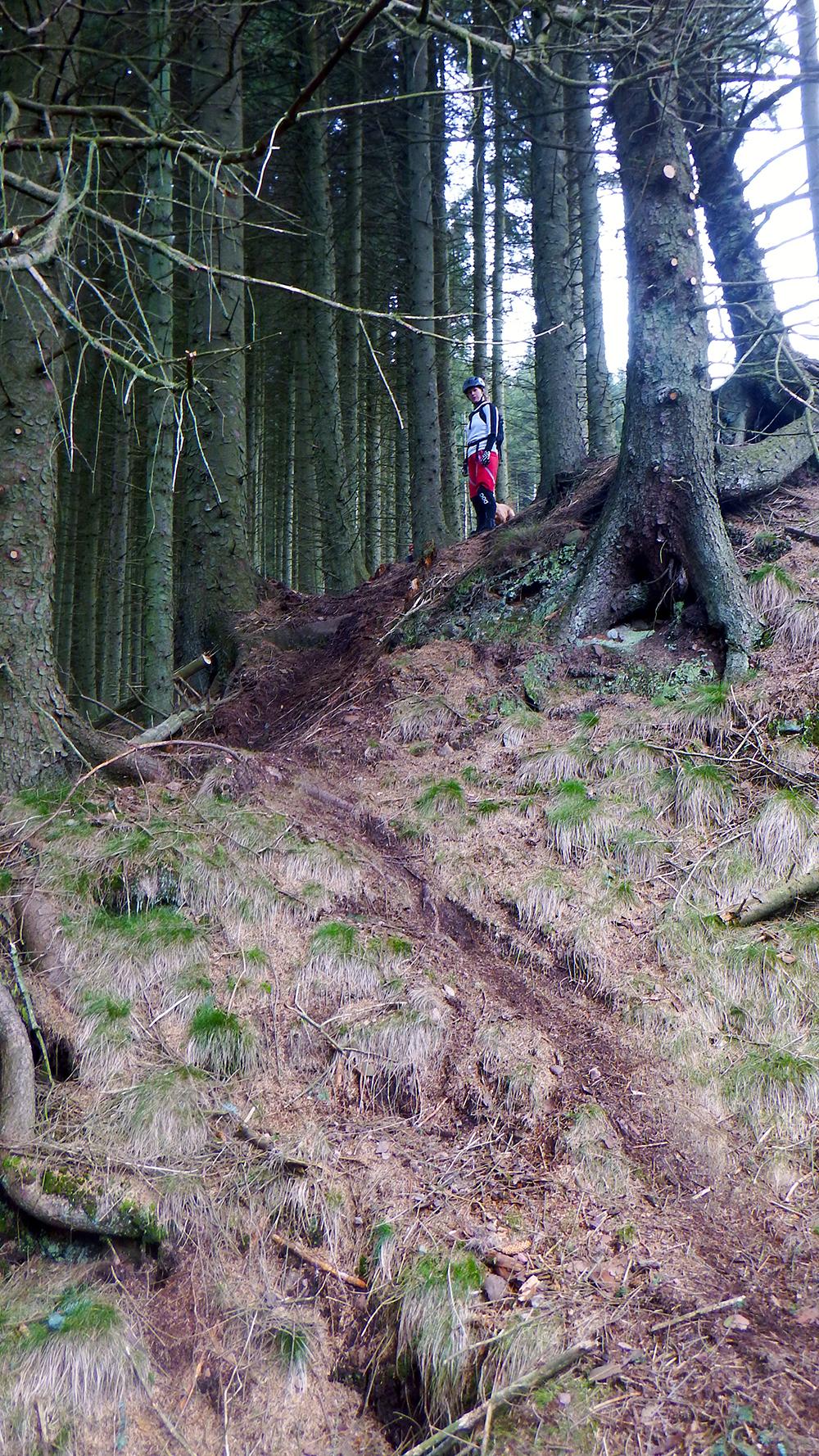 A cyclist in a helmet and colorful clothing stands on a dirt path surrounded by tall trees in a forest. The terrain is uneven with patches of grass and soil visible. The cyclist appears to be contemplating the path ahead, highlighting a sense of adventure in a natural setting. Finella woods mountain bike trail.