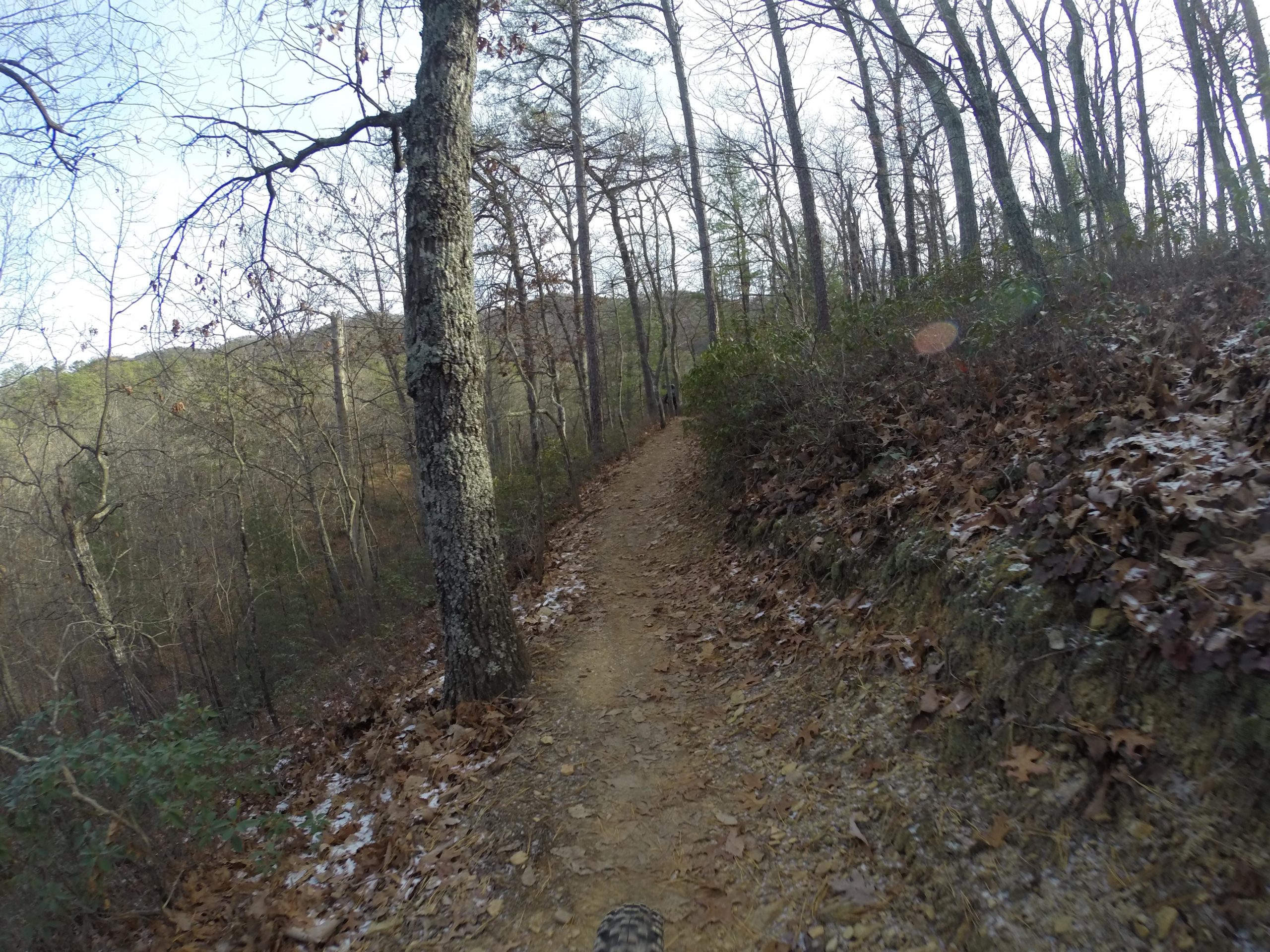 A winding dirt trail through a forest, surrounded by bare trees and scattered fallen leaves. The scene captures a peaceful, wooded landscape on a clear day, with hints of greenery at the edges. Carvin's Cove Trail system mountain bike trail.