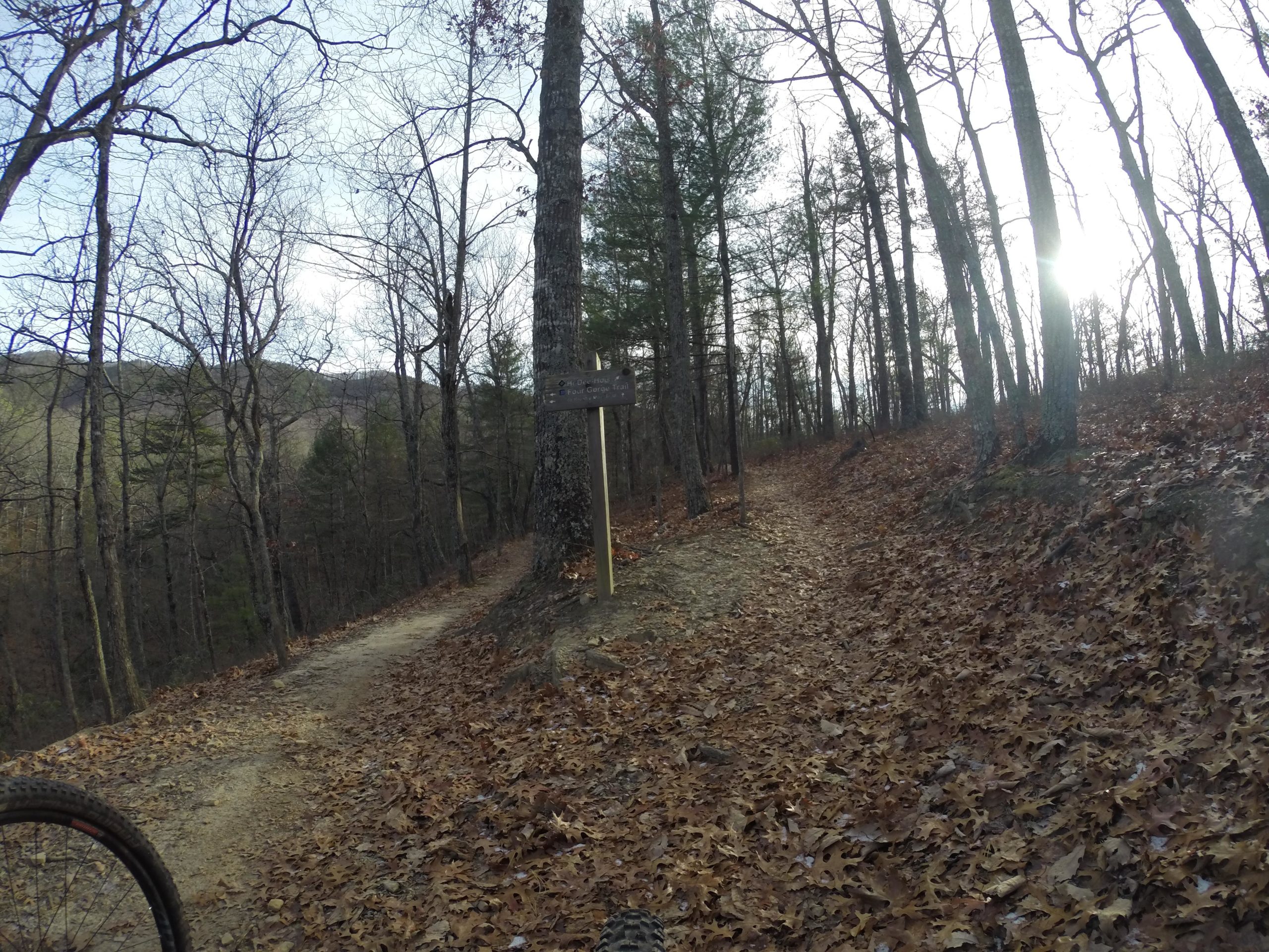 A dirt path diverges into two trails surrounded by leafless trees and autumn foliage, with a wooden trail sign visible on the left. The scene is illuminated by sunlight filtering through the trees, suggesting a peaceful outdoor setting. Carvin's Cove Trail system mountain bike trail.