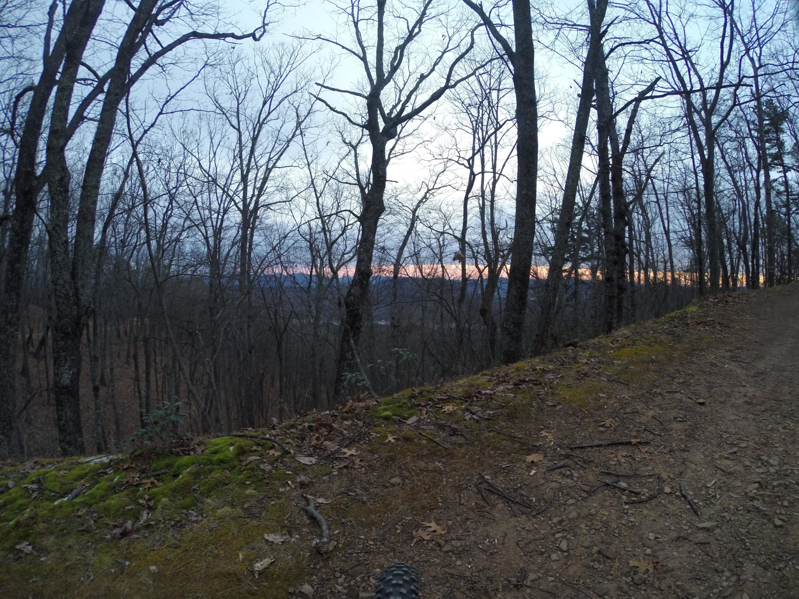 A serene landscape view of a wooded area during dusk, featuring bare trees against a twilight sky with hints of orange and purple on the horizon. A dirt path lined with moss and fallen leaves runs along the edge of the forest. Carvin's Cove Trail system mountain bike trail.